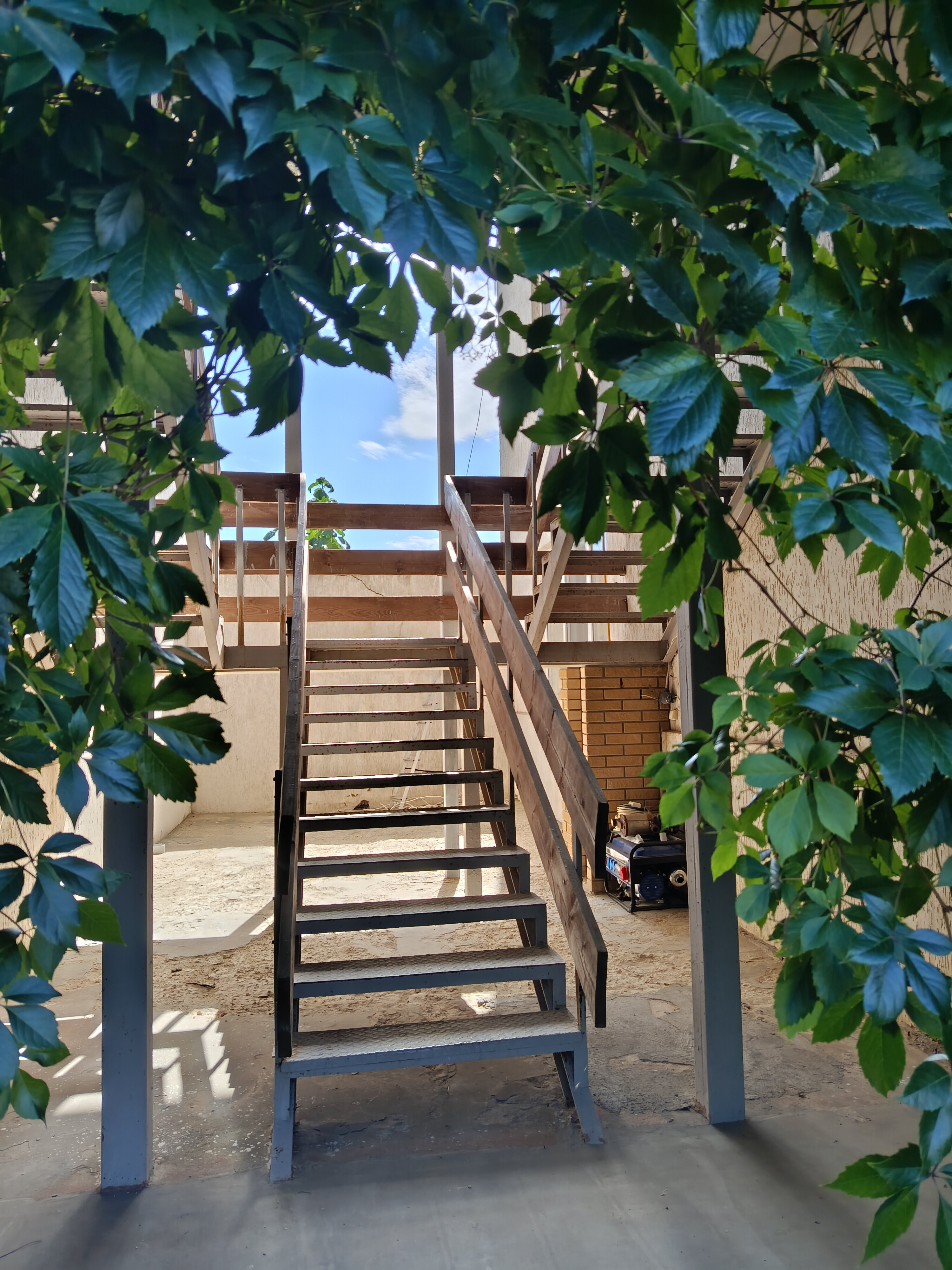 Фото Жемчужина