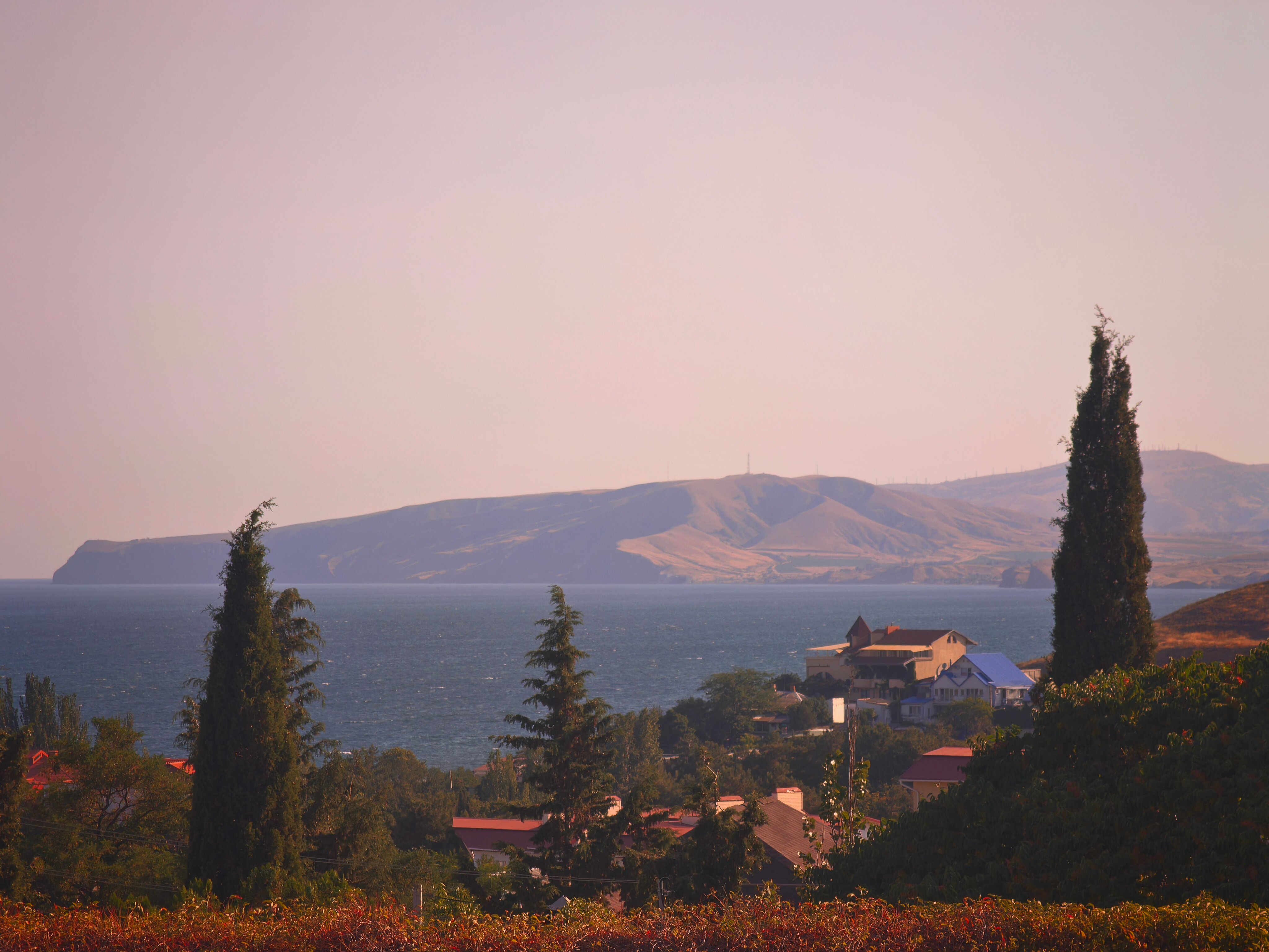 Фото Валента