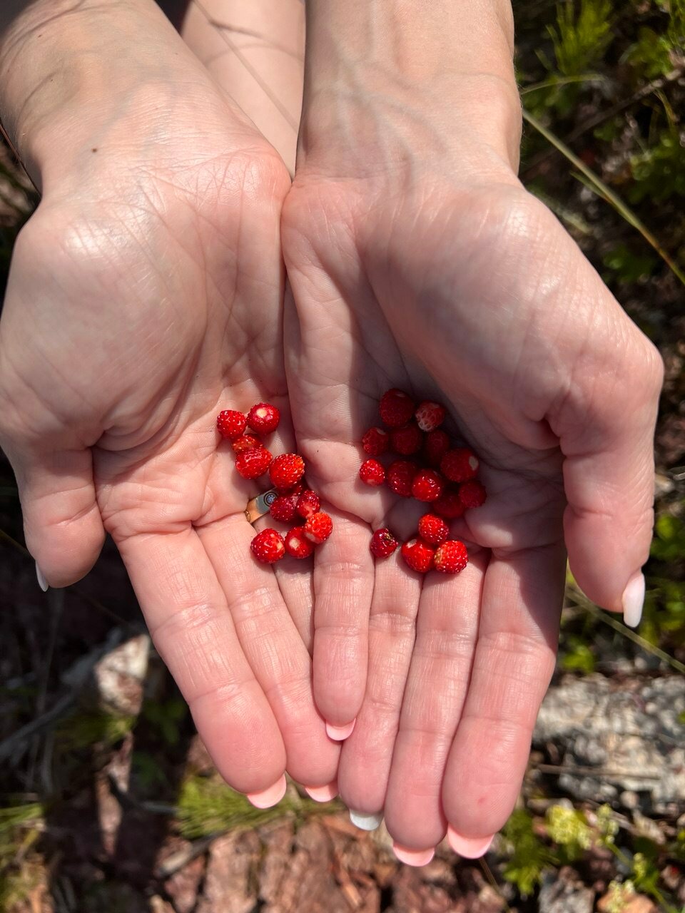 Фото Ильмера