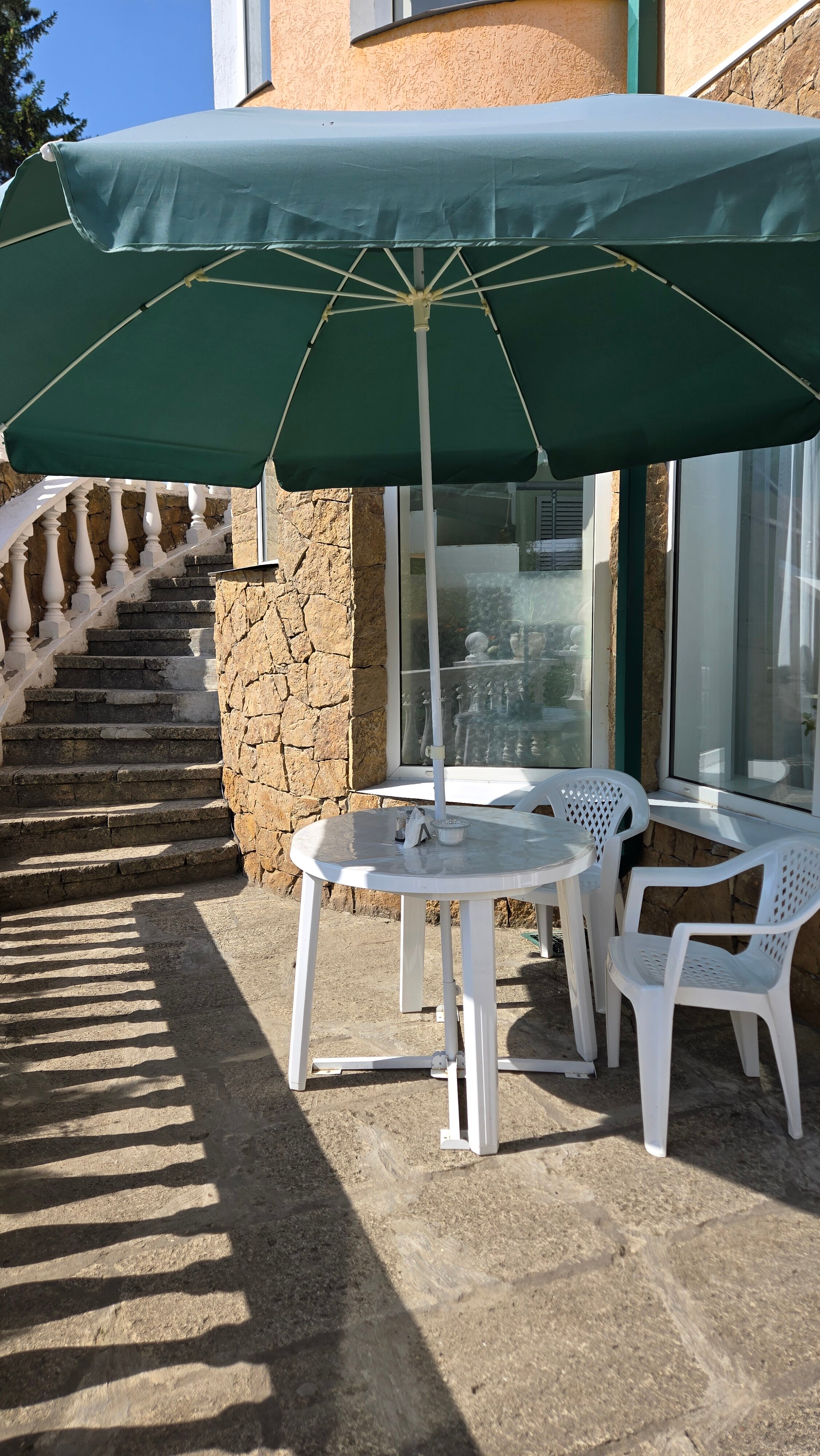 Фото Ласточка