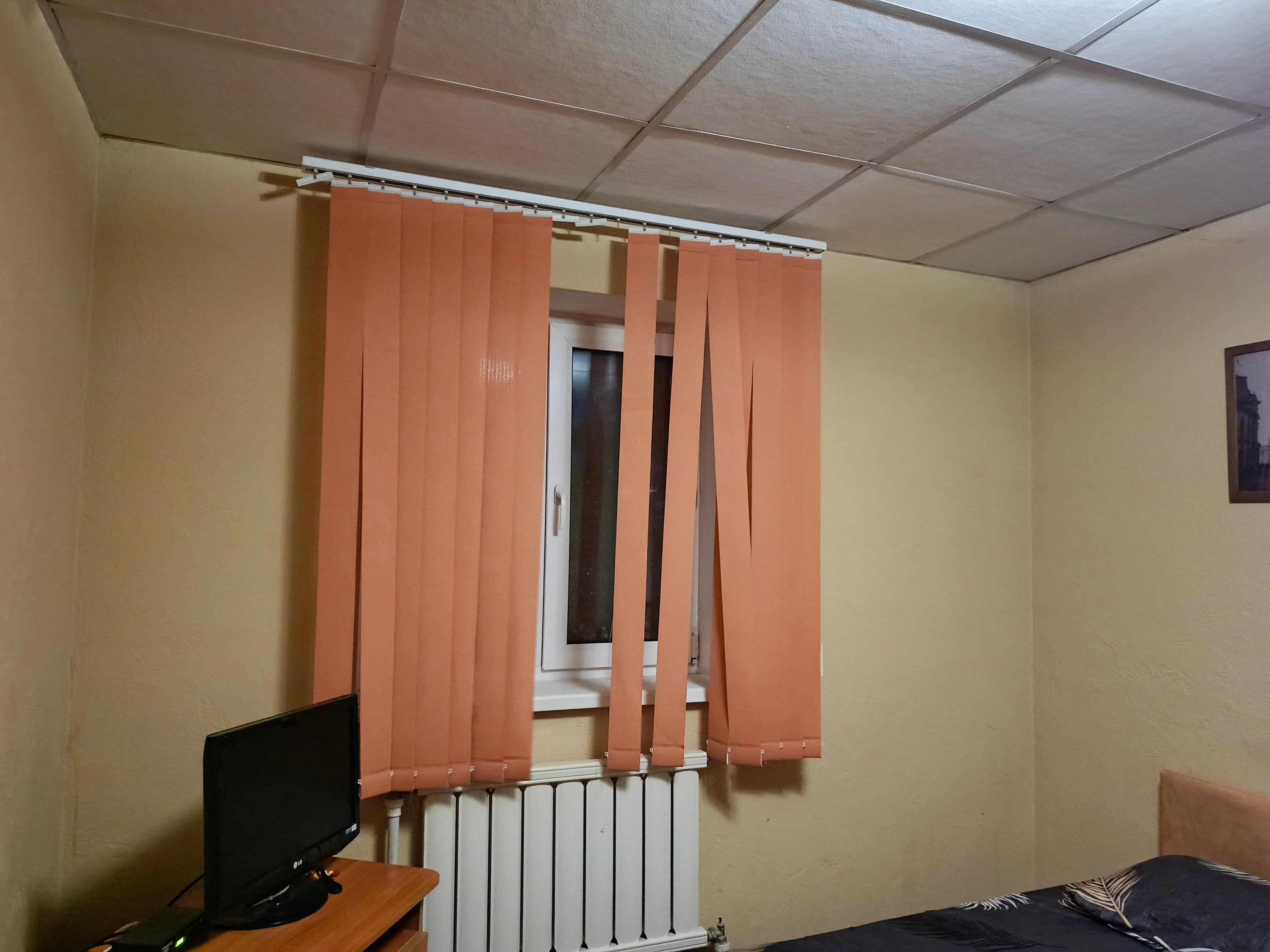 Фото Добрый Финн