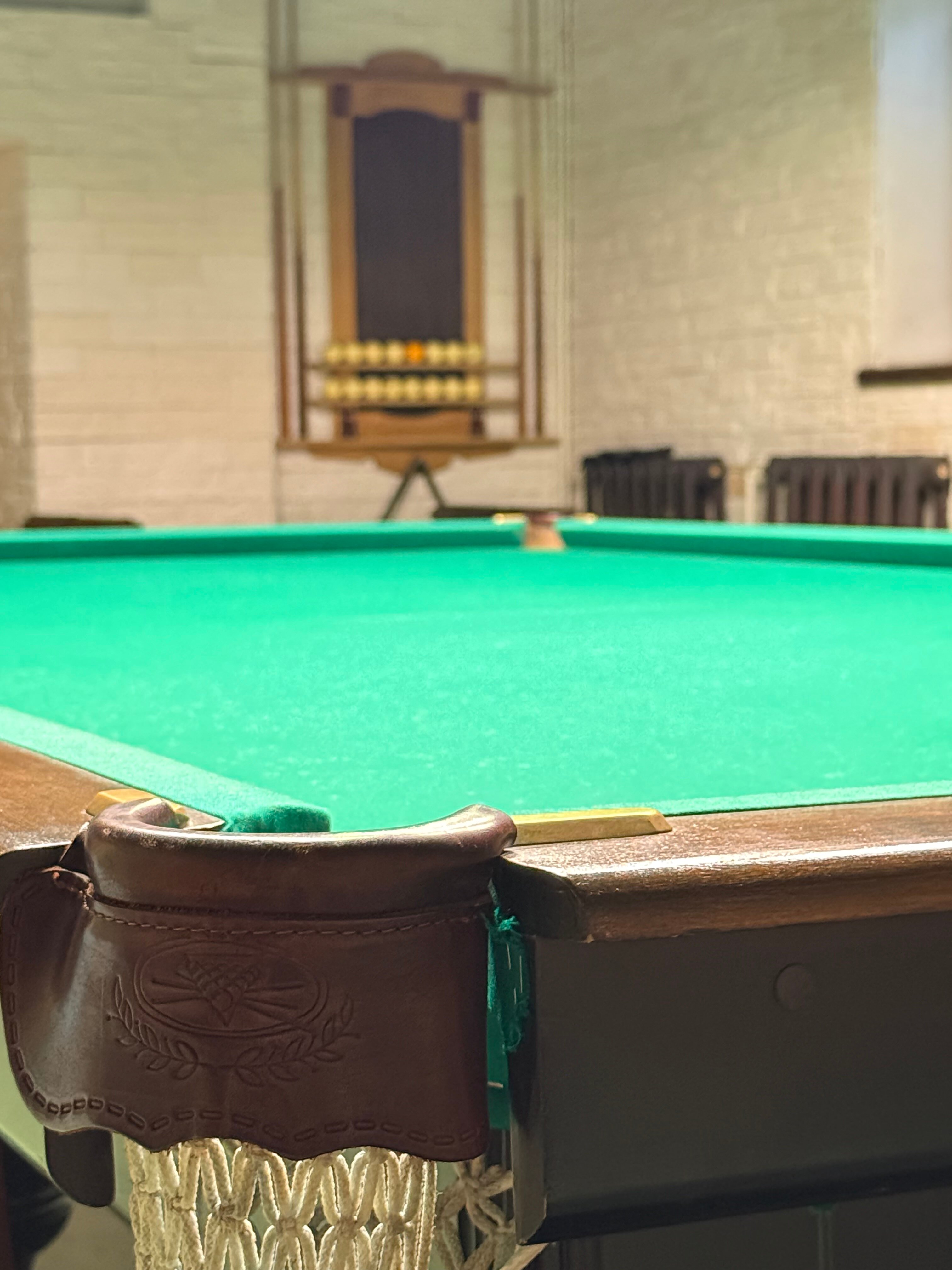 Фото Гризли