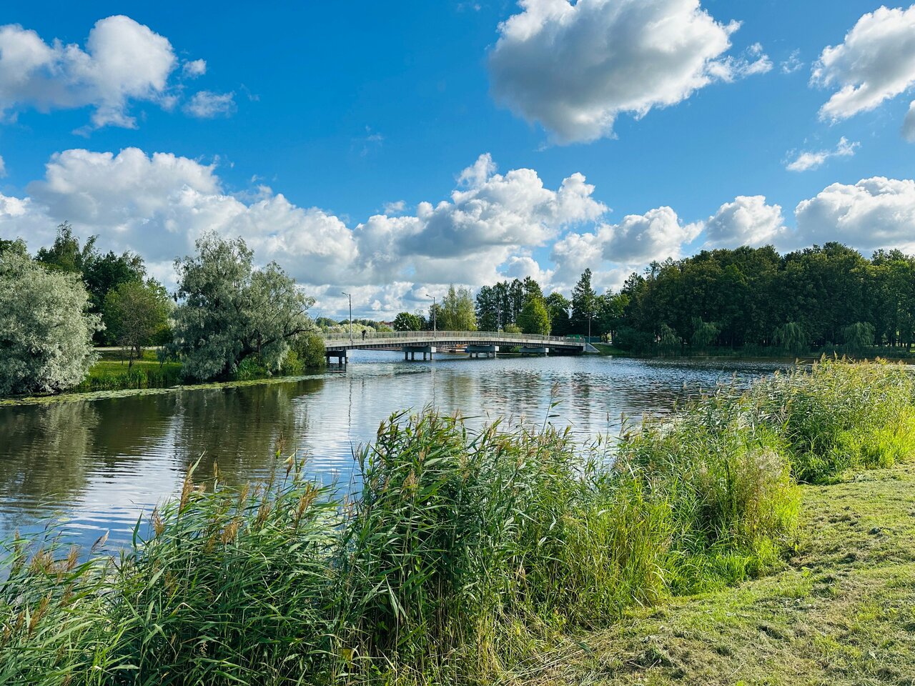 Порно Ирен Ирен Феррари