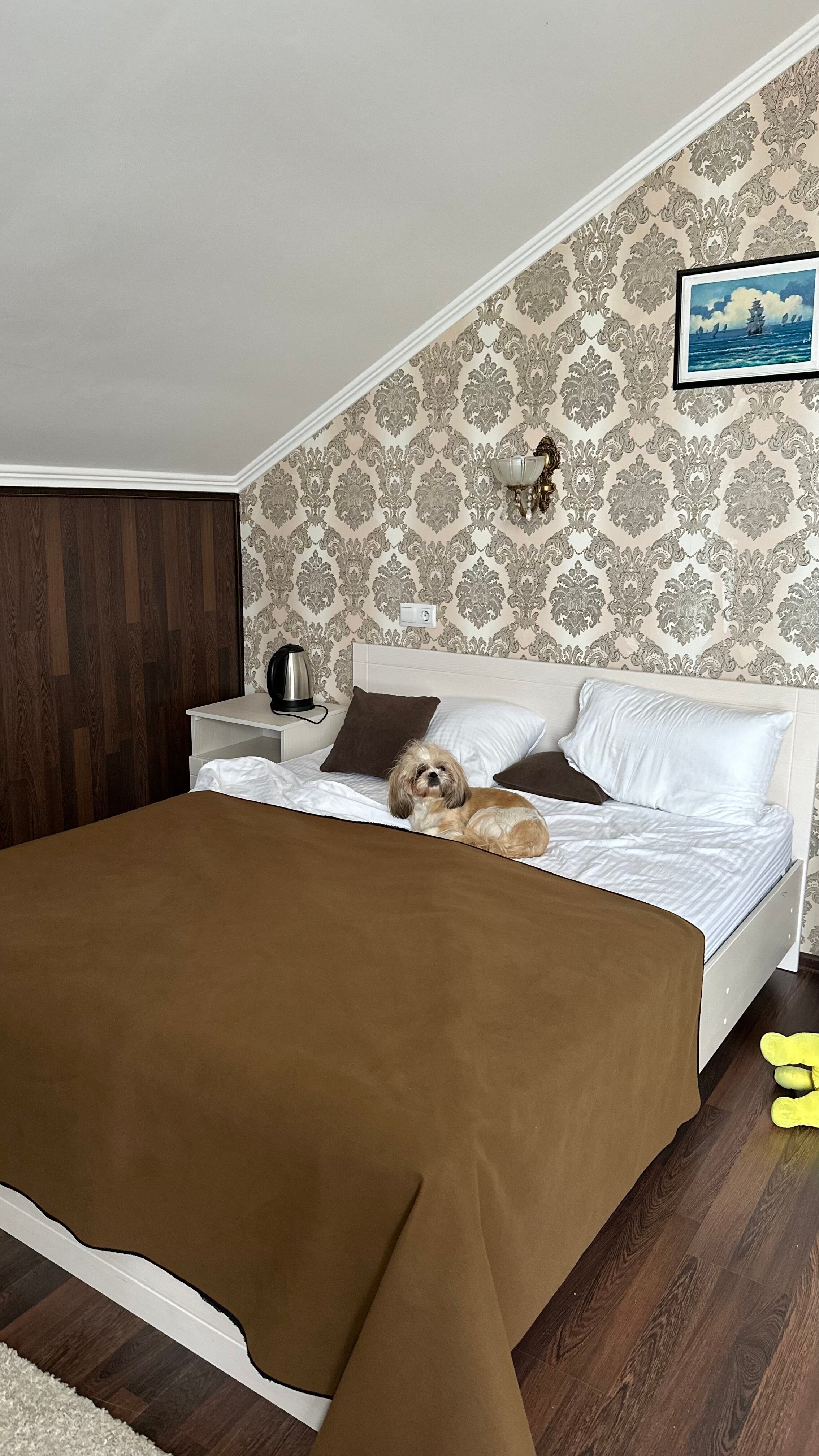 Фото Колизей