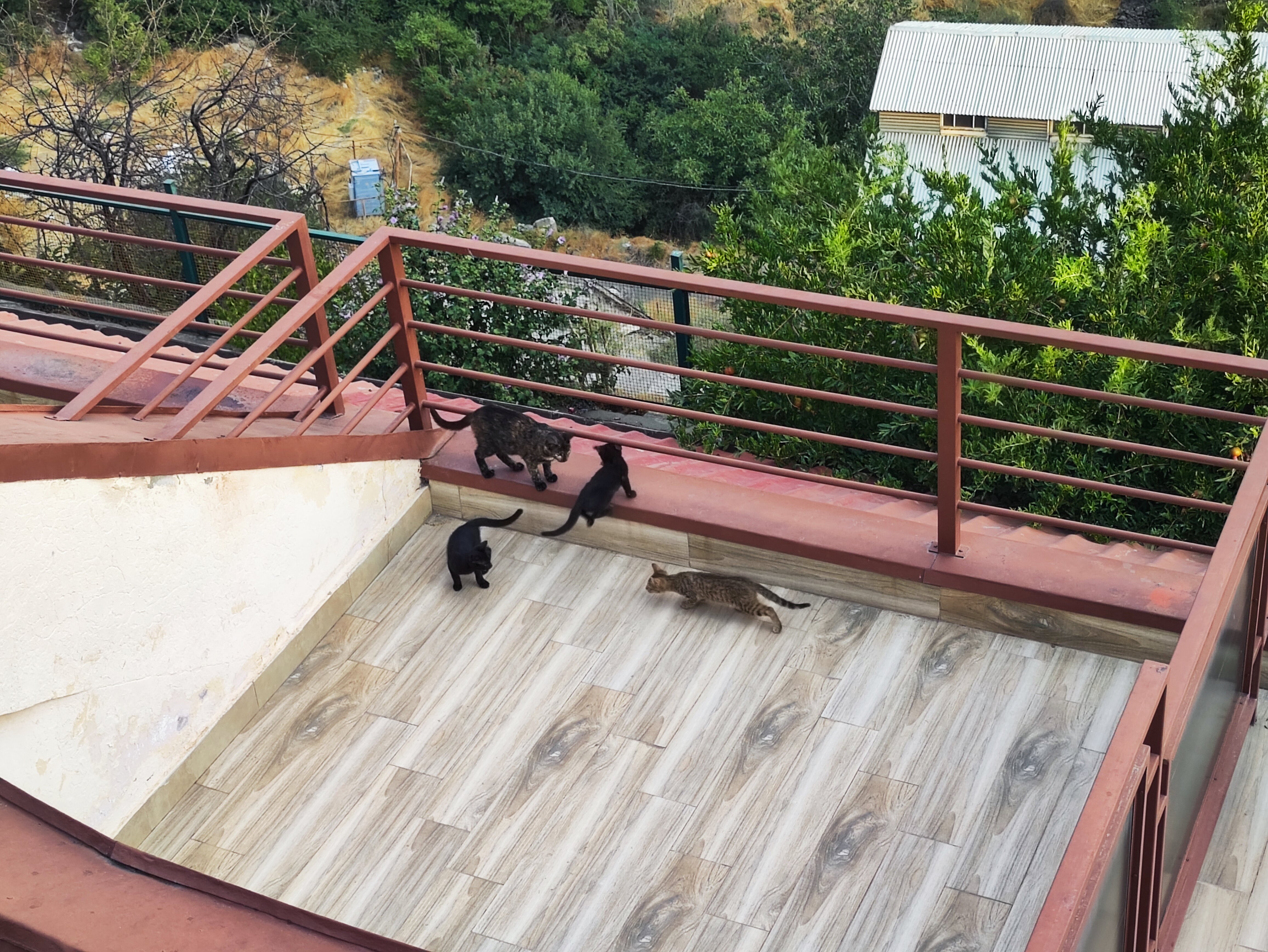 Фото Regineh Hotel