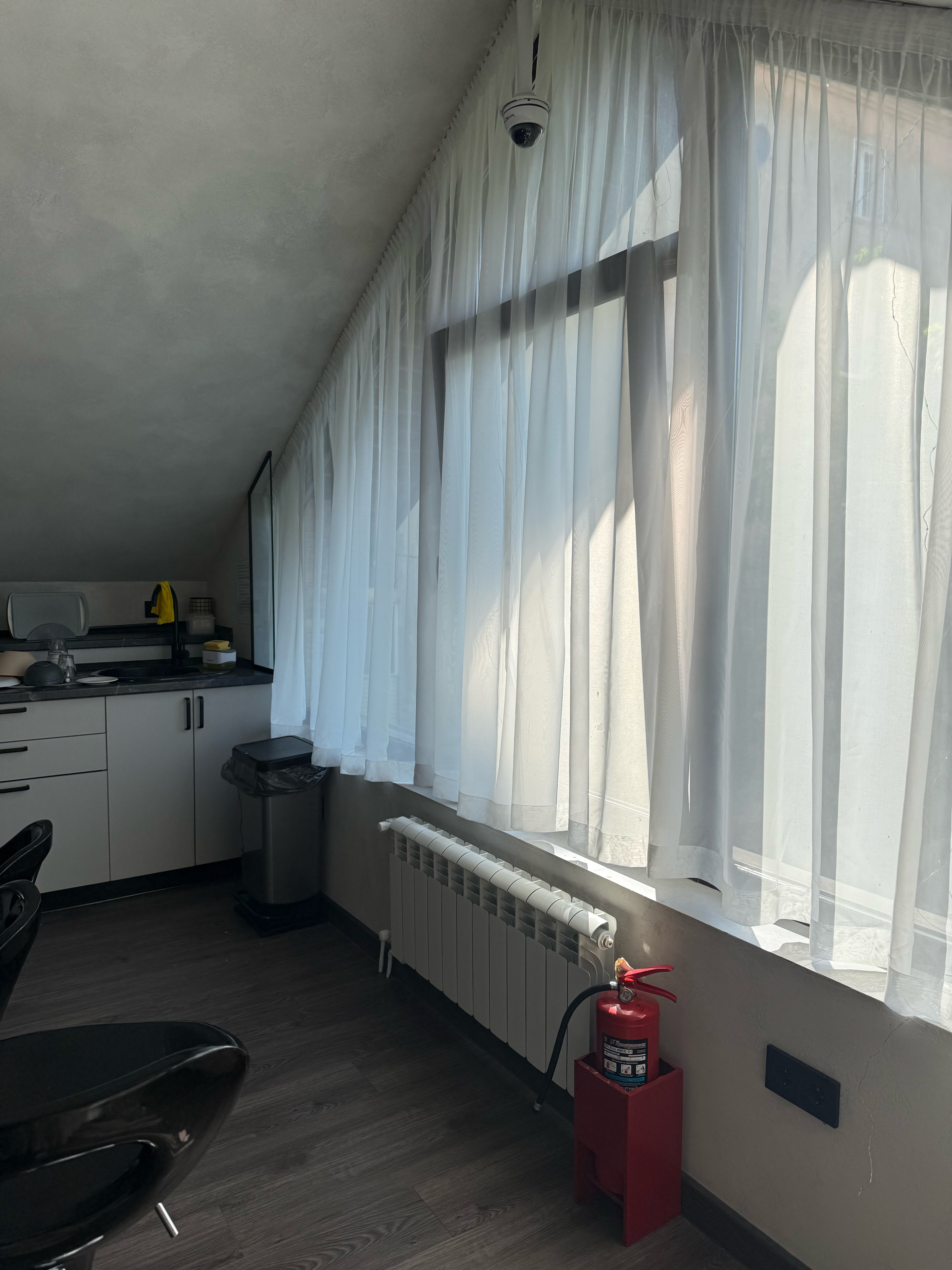 Фото Иркутский кедр