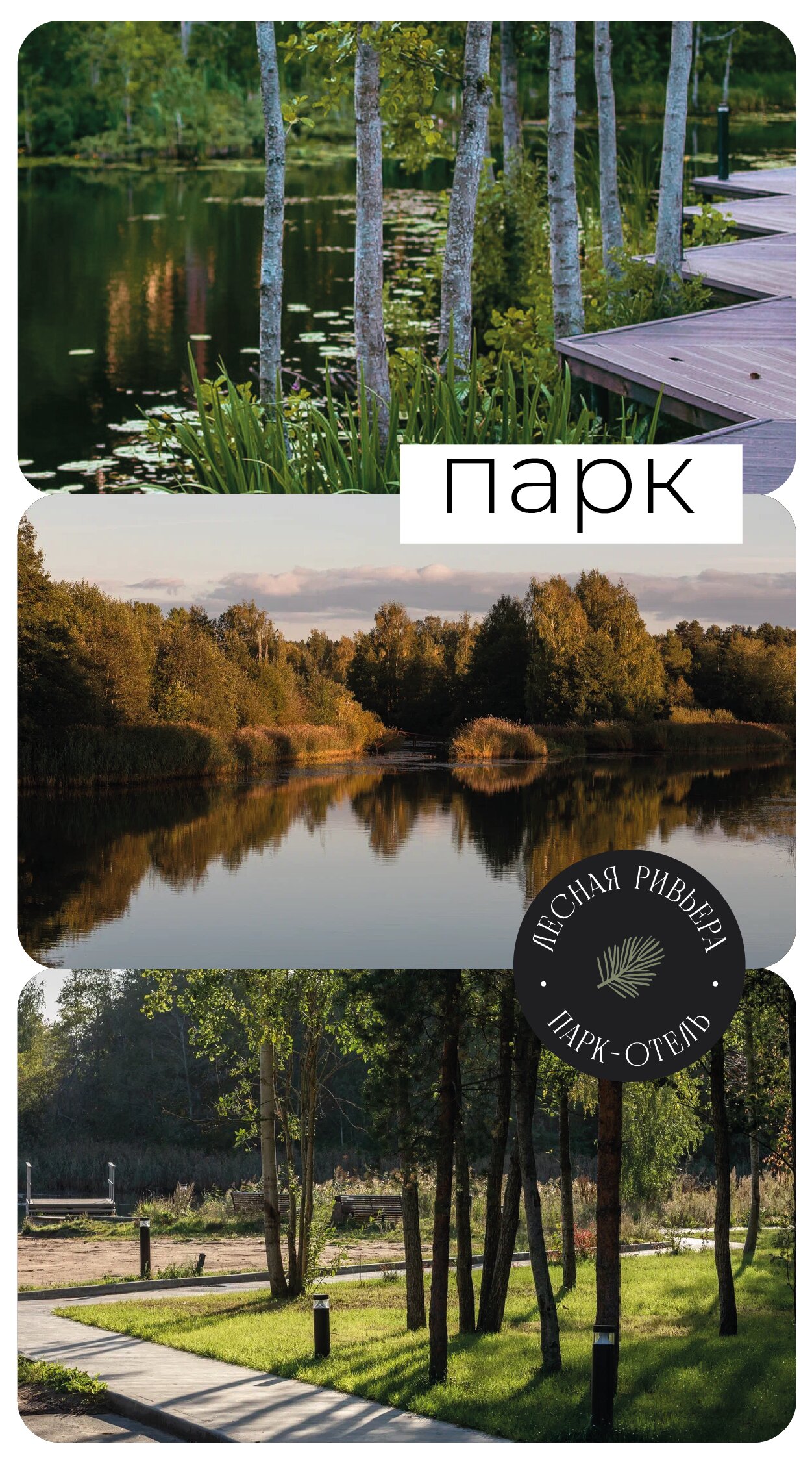 Фото Лесная Ривьера