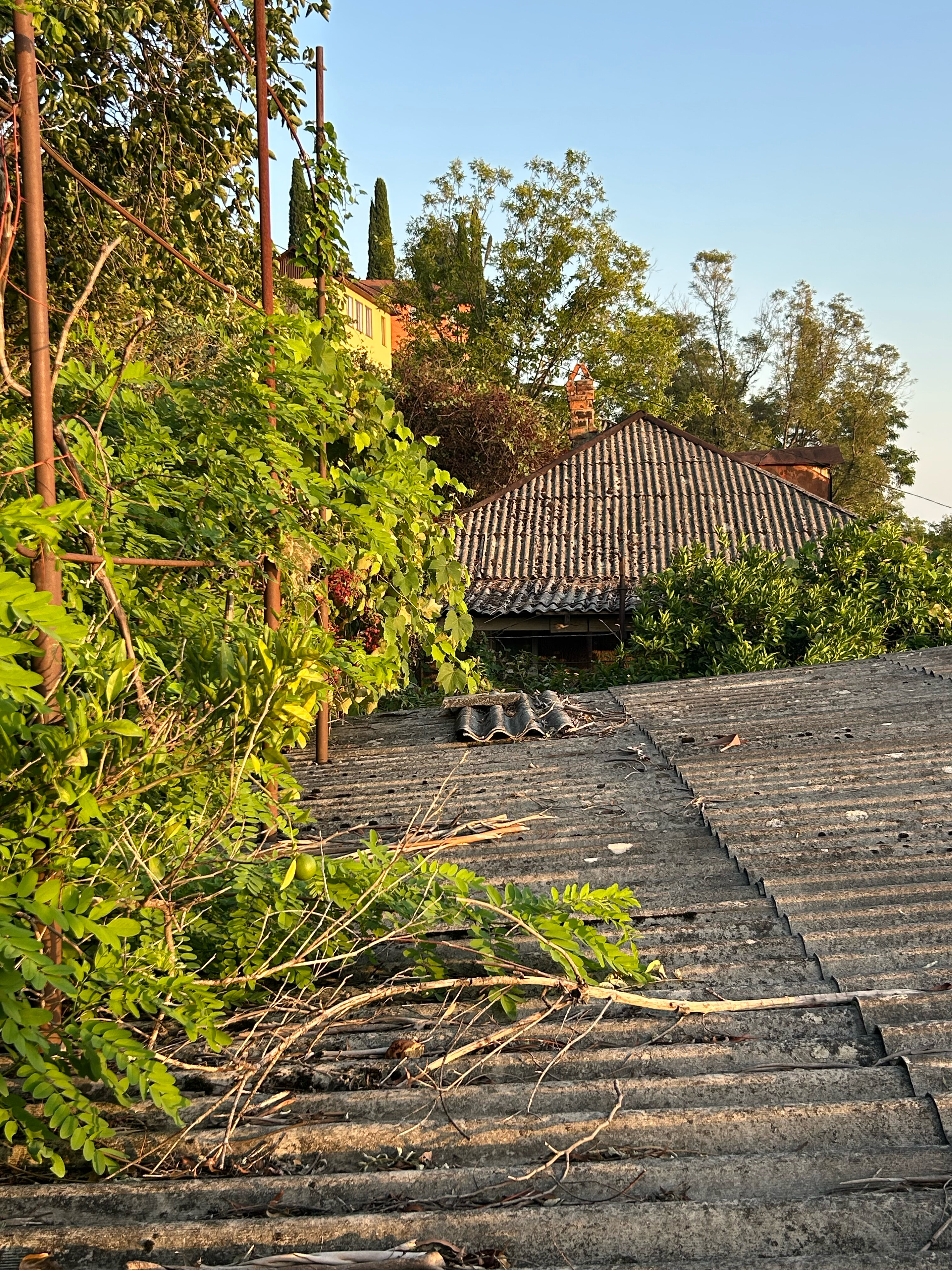 Фото Сказка