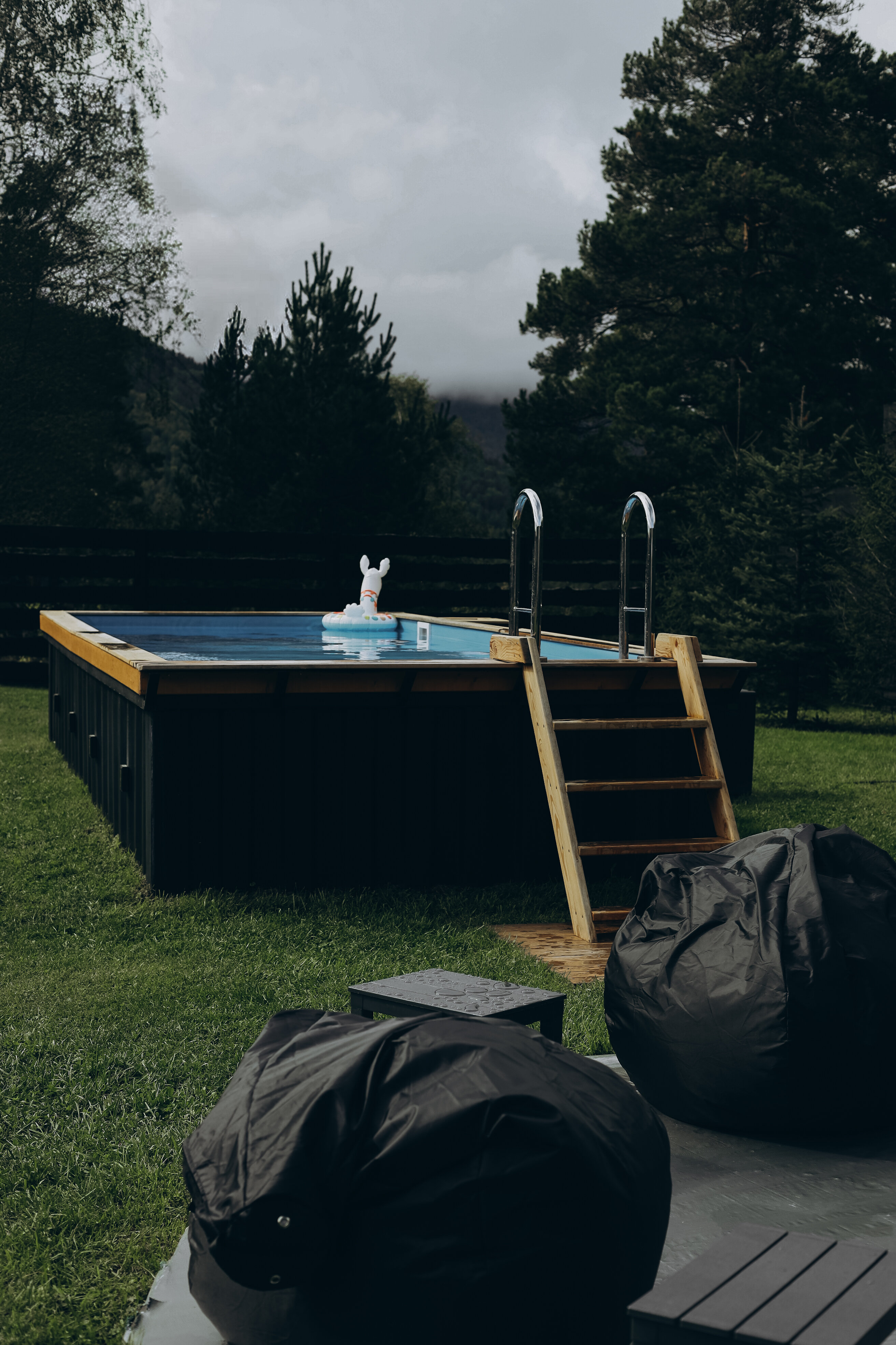 Фото Альпака