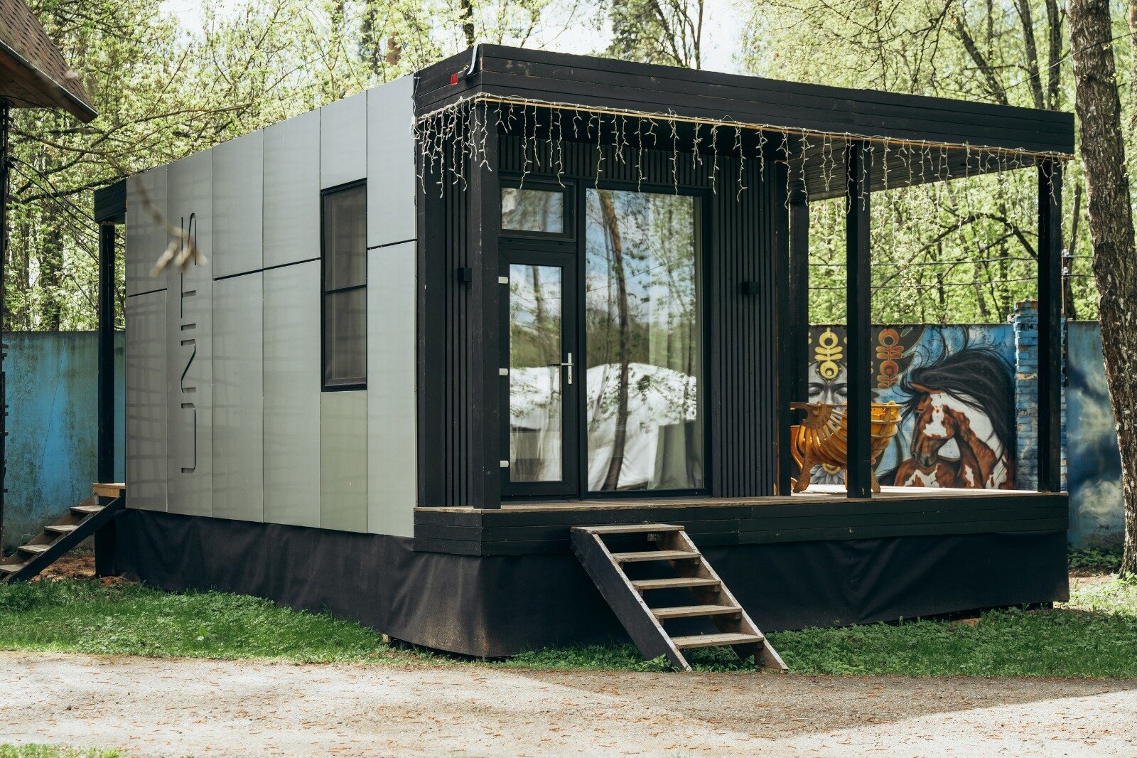 Фото Гуси-Лебеди