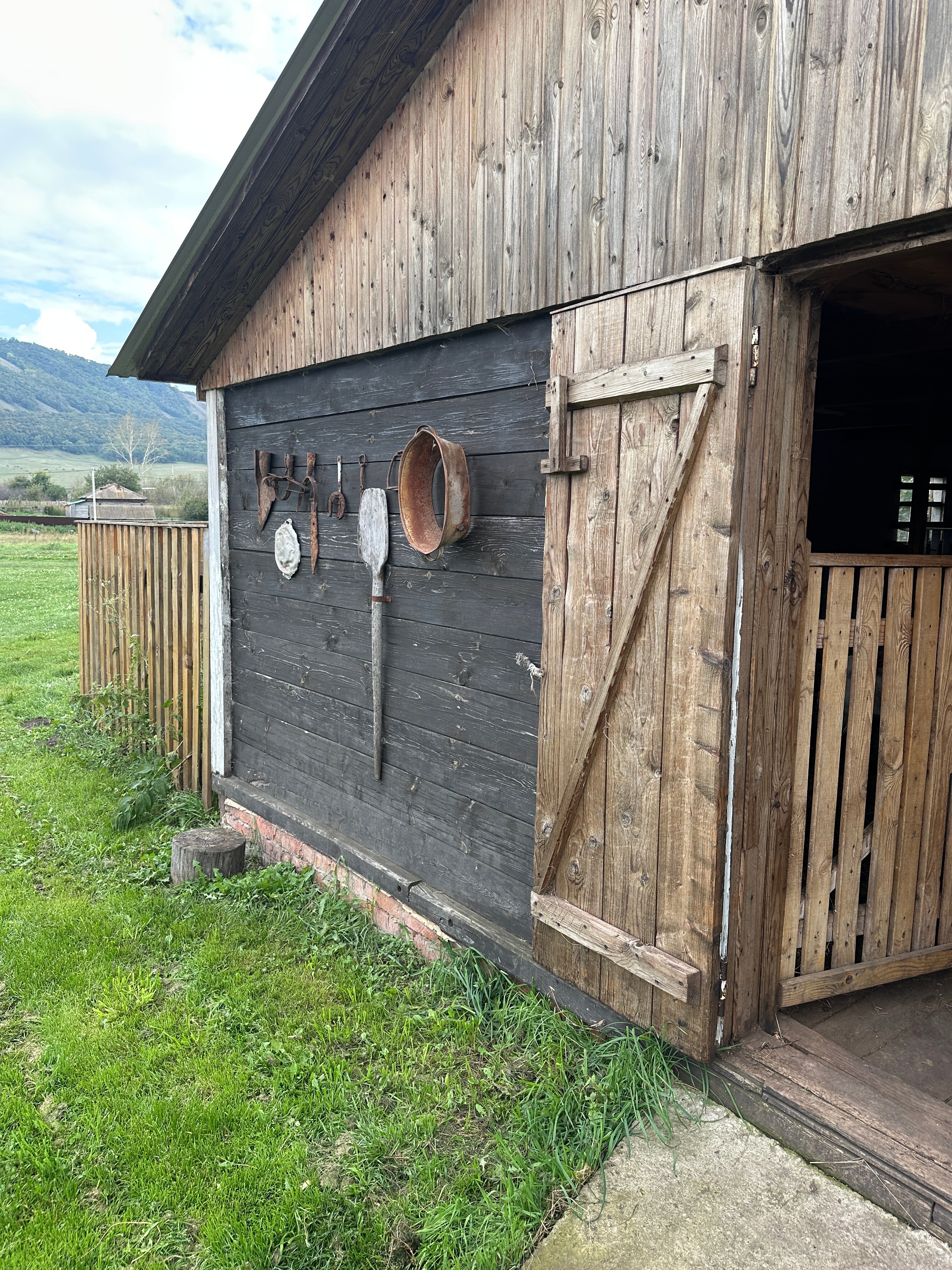 Фото Башкирская коза