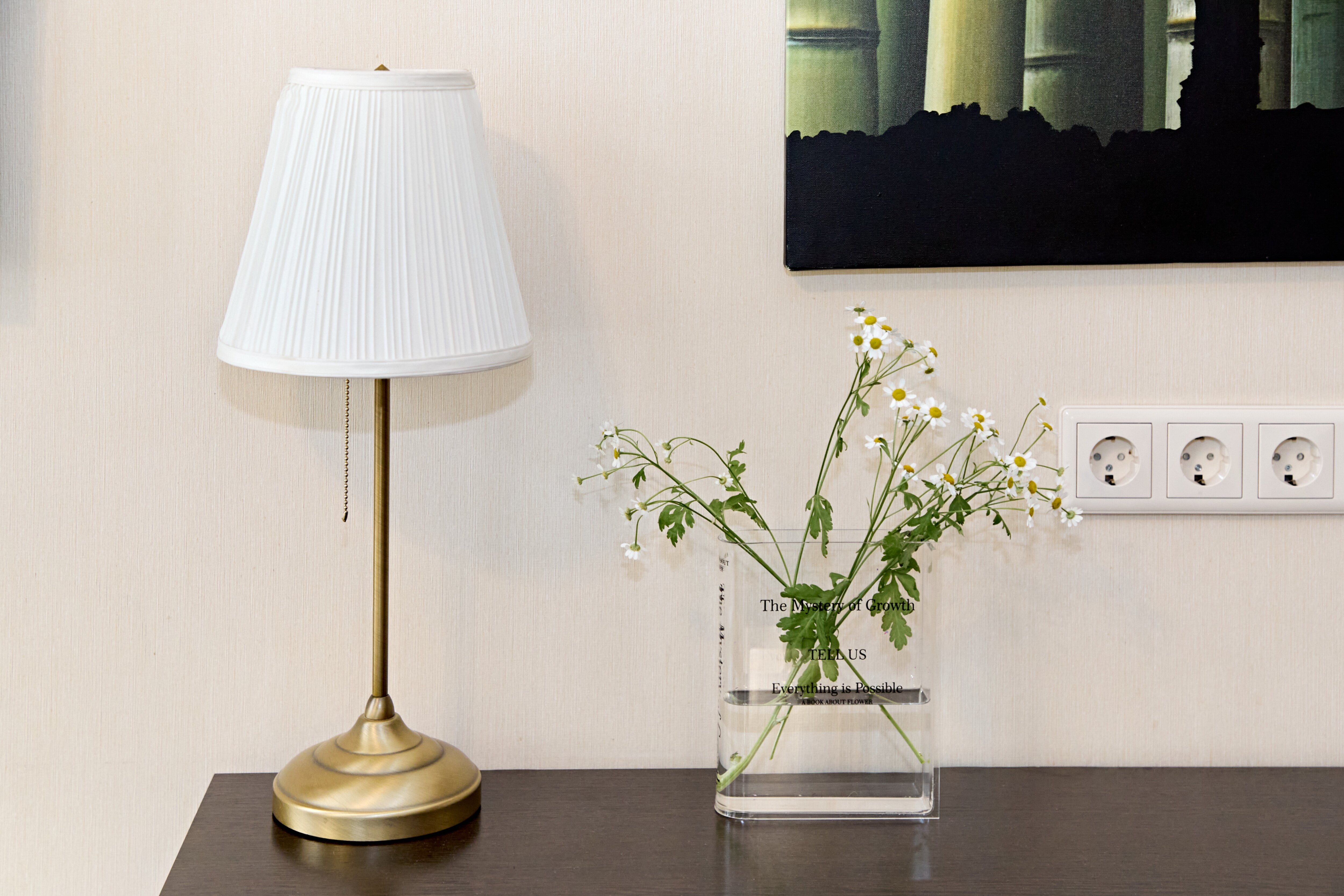 Фото Невский контур