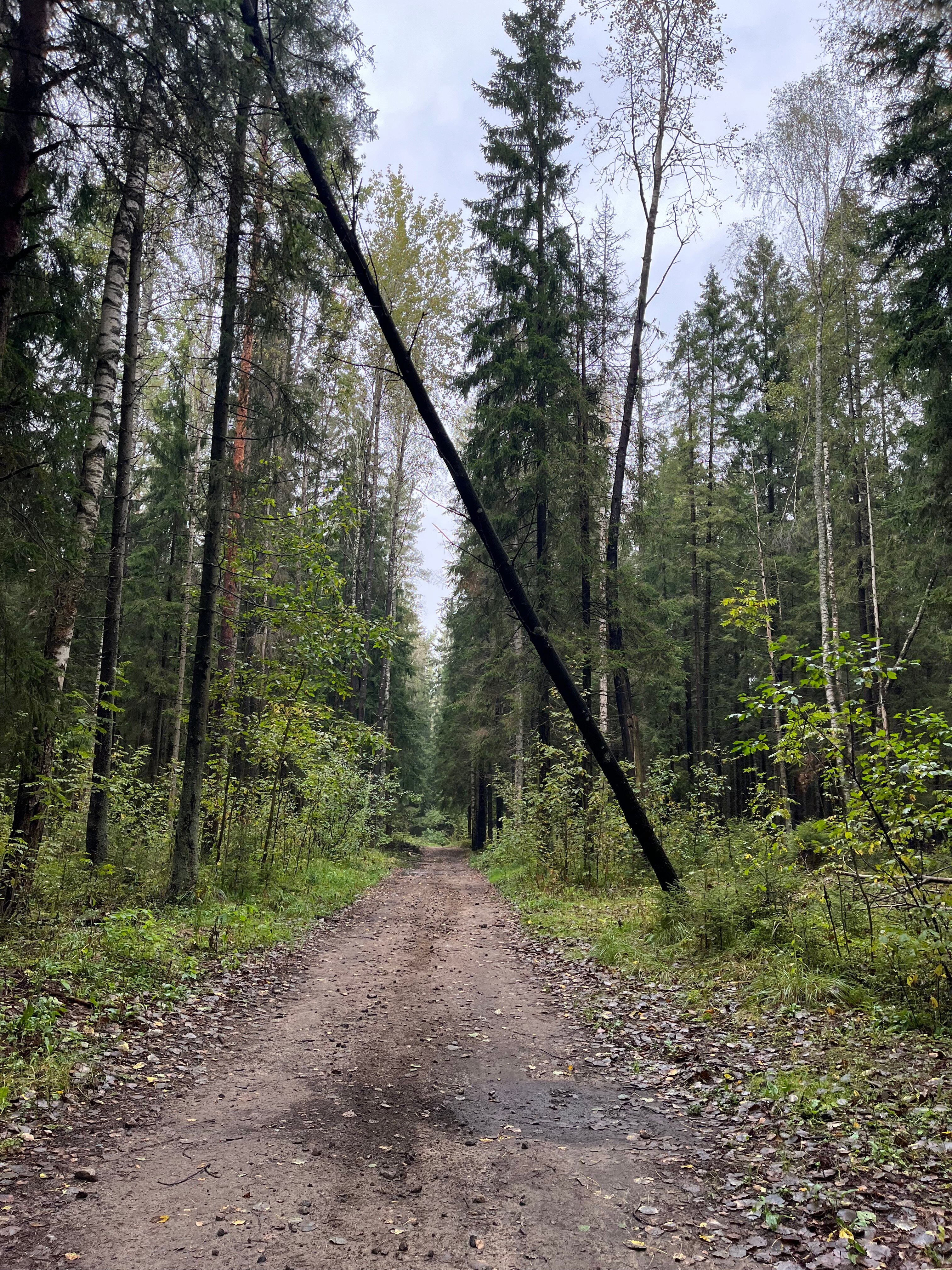 Фото Лопановичъ Park