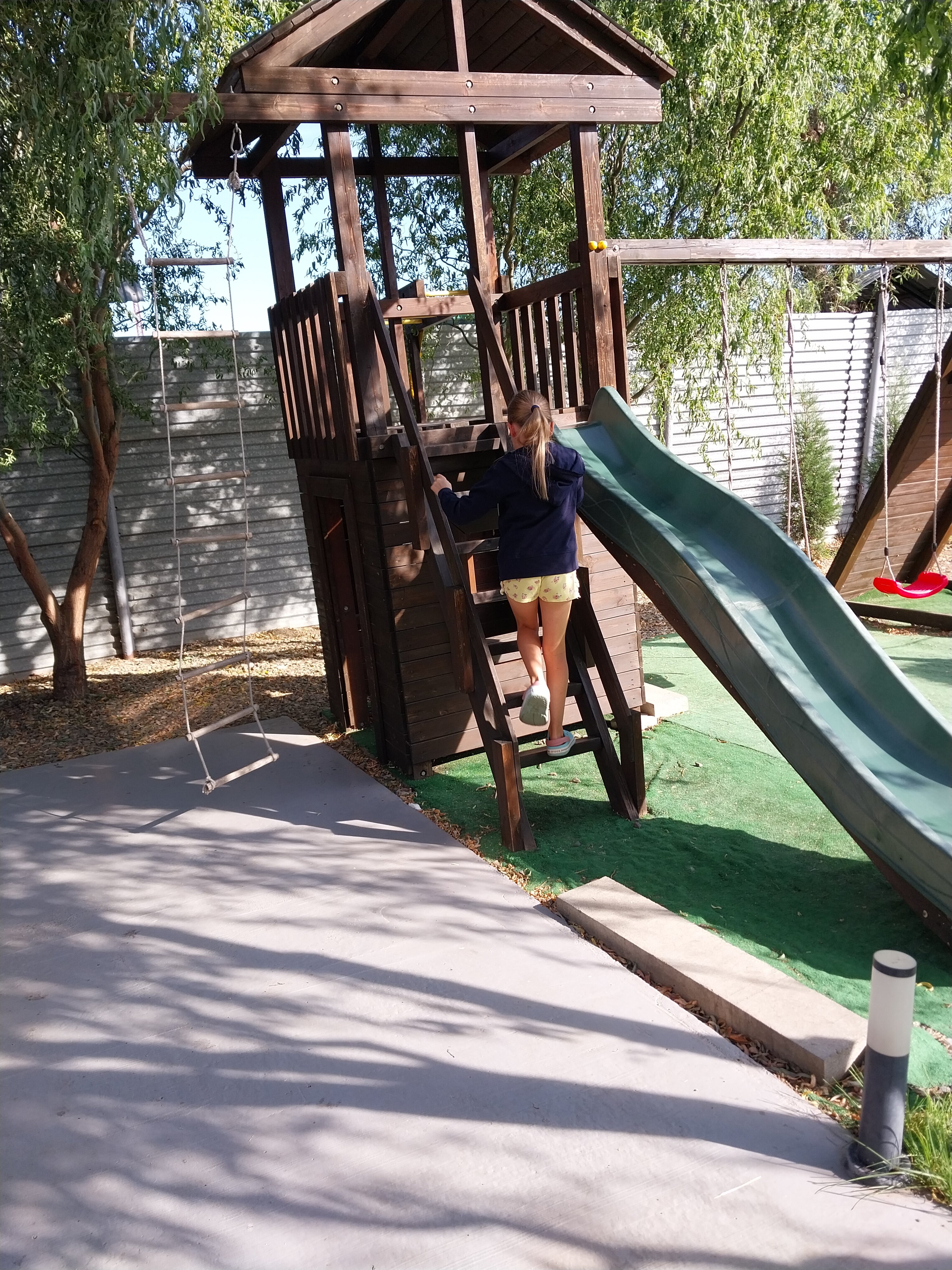 Фото Березка