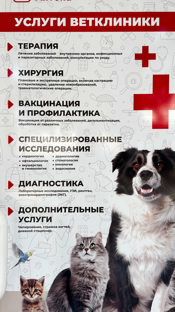 Veterinary clinic Vetlechebnitsa Ip Lyarsky V. S., Mogilev, photo
