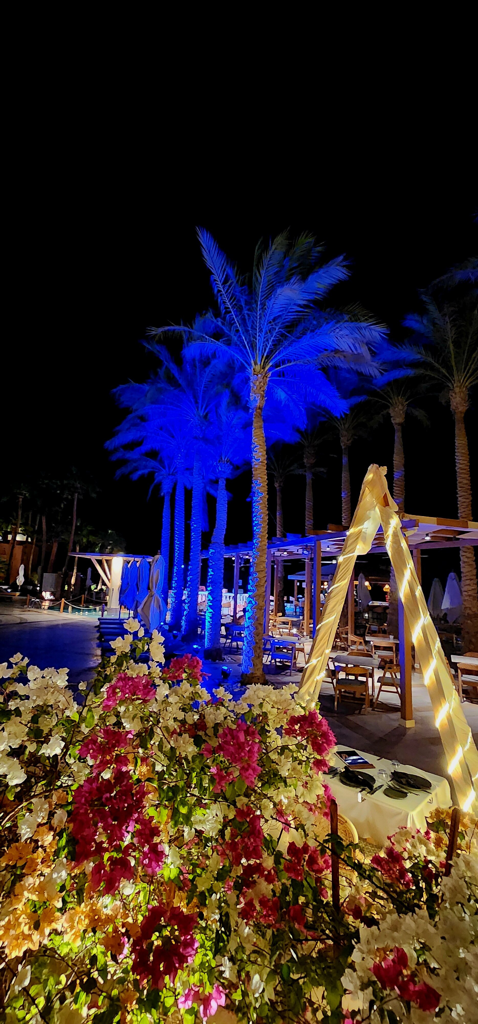 Фото Steigenberger Golf Resort El Gouna