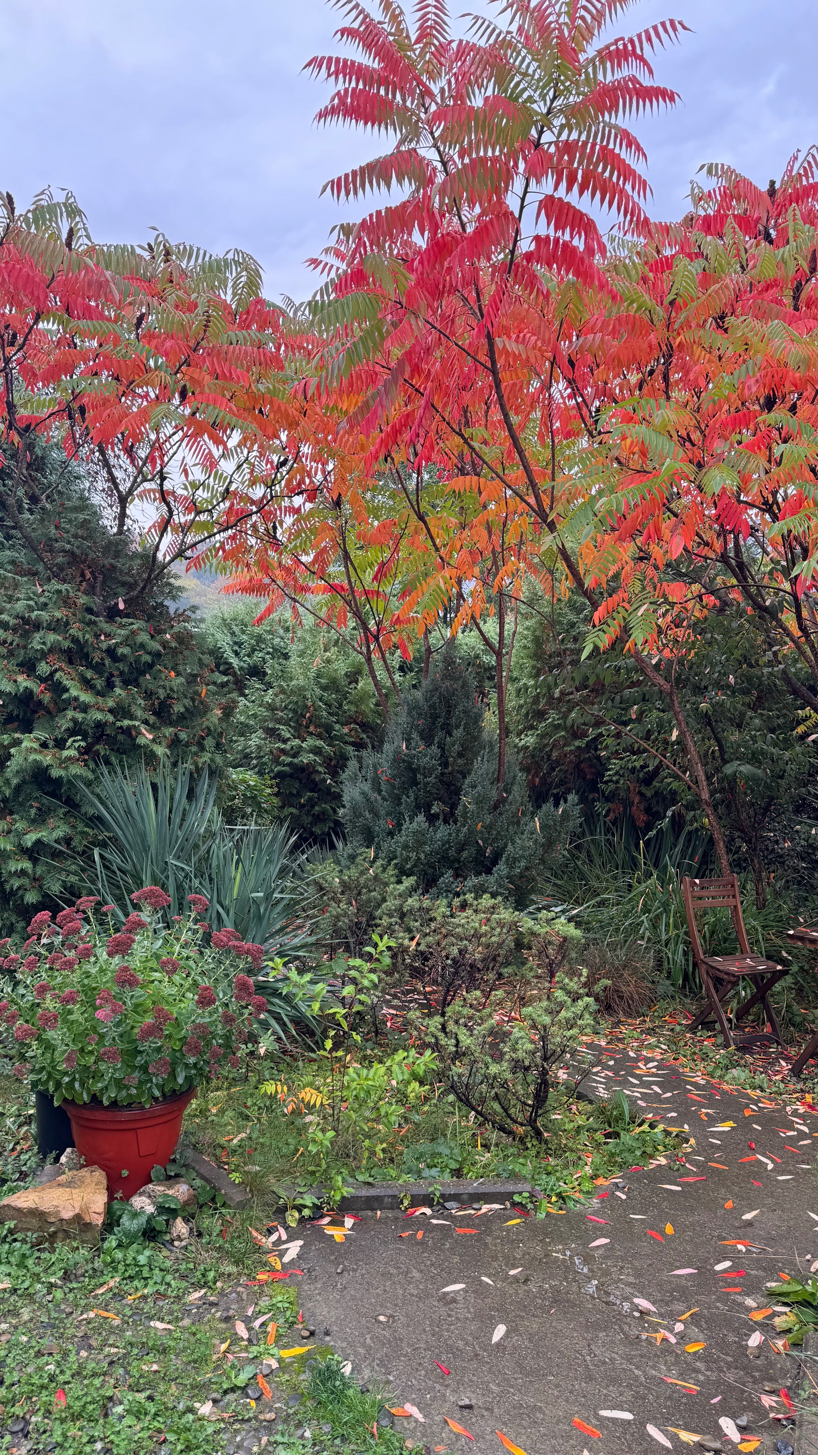 Фото Благодать