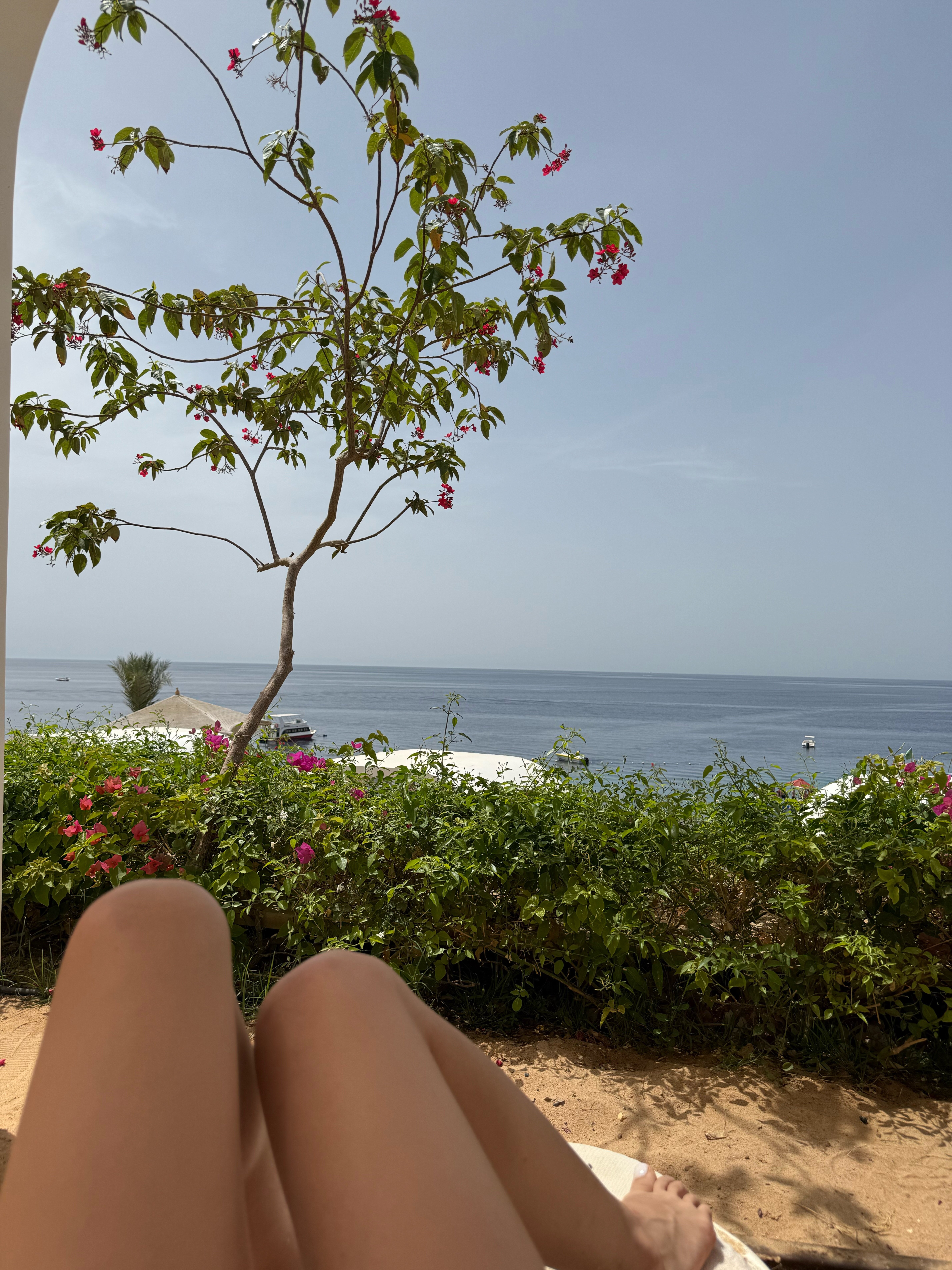 Фото Meraki Resort Sharm El Sheikh