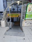 Зоомагазин (Krasnopolsky Avenue, 13), pet shop