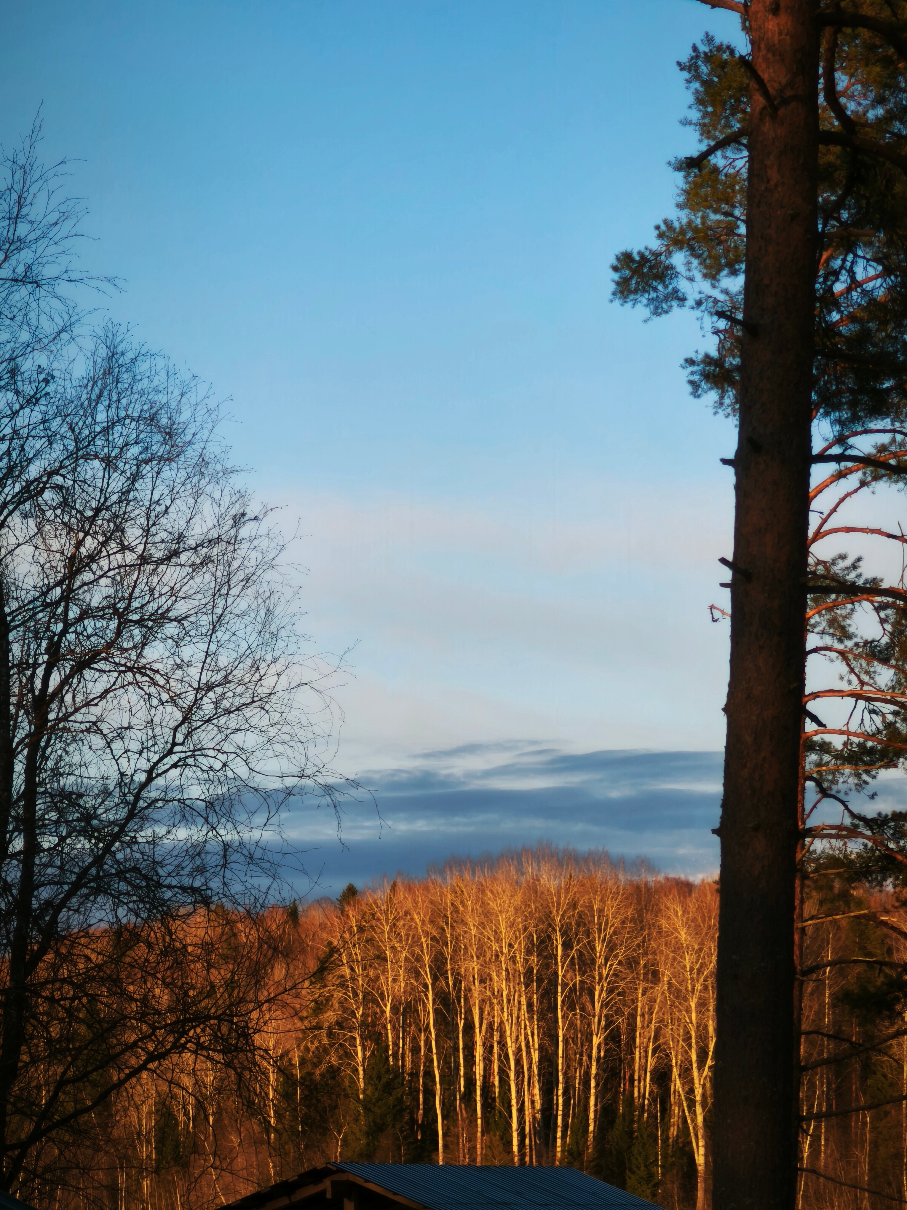 Фото Бухта Лапиковых