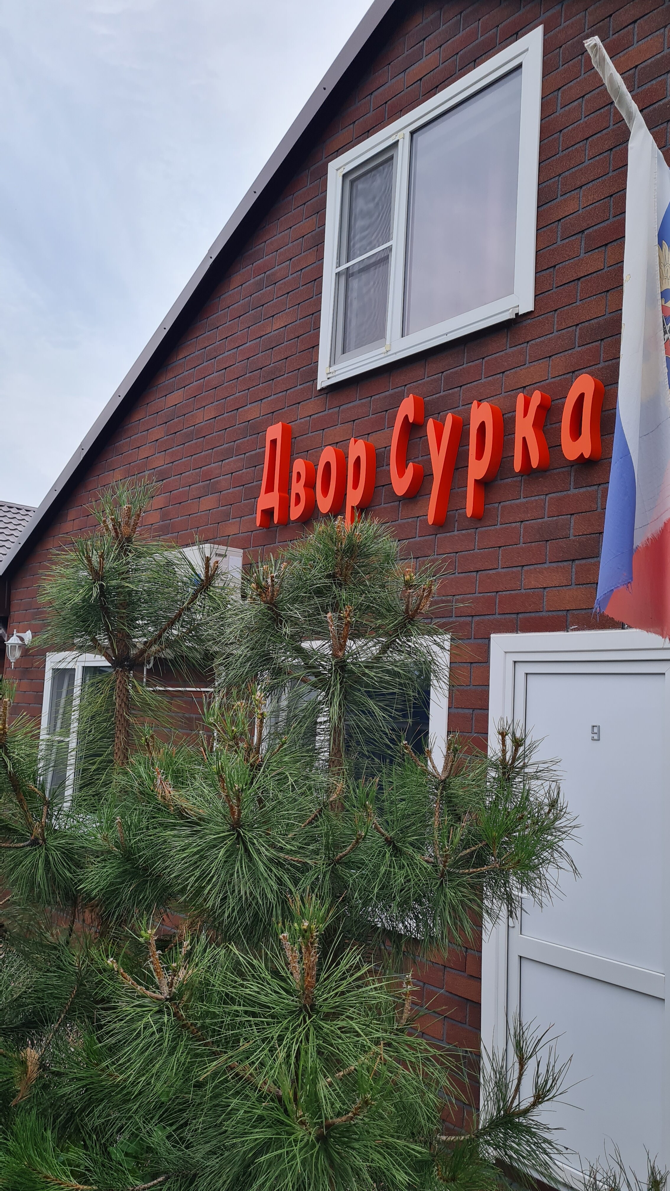 Фото Двор сурка