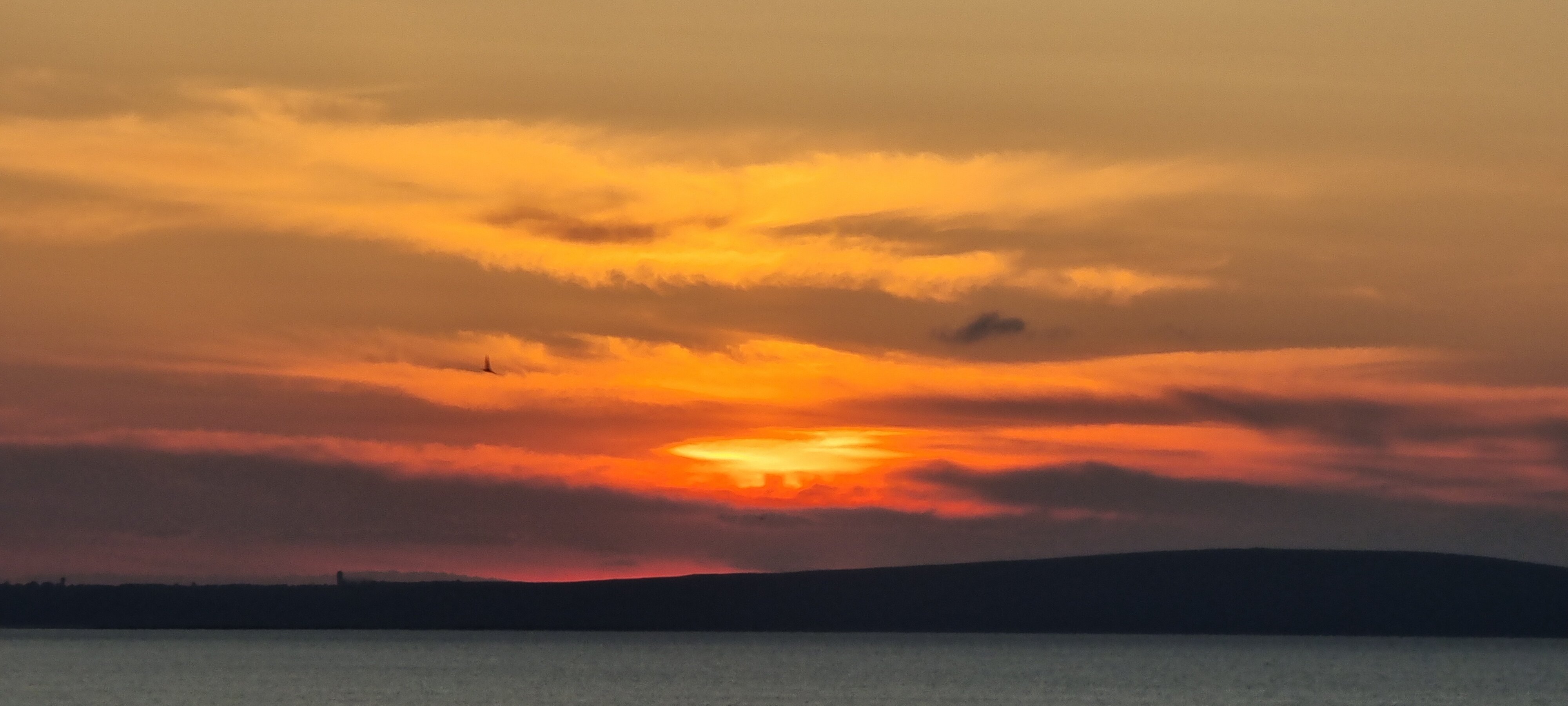 Фото Экзотик Эльвар