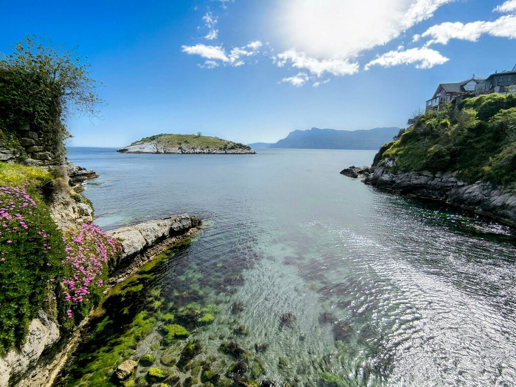 Landmark, attraction Weeping Tree, Amasra, photo