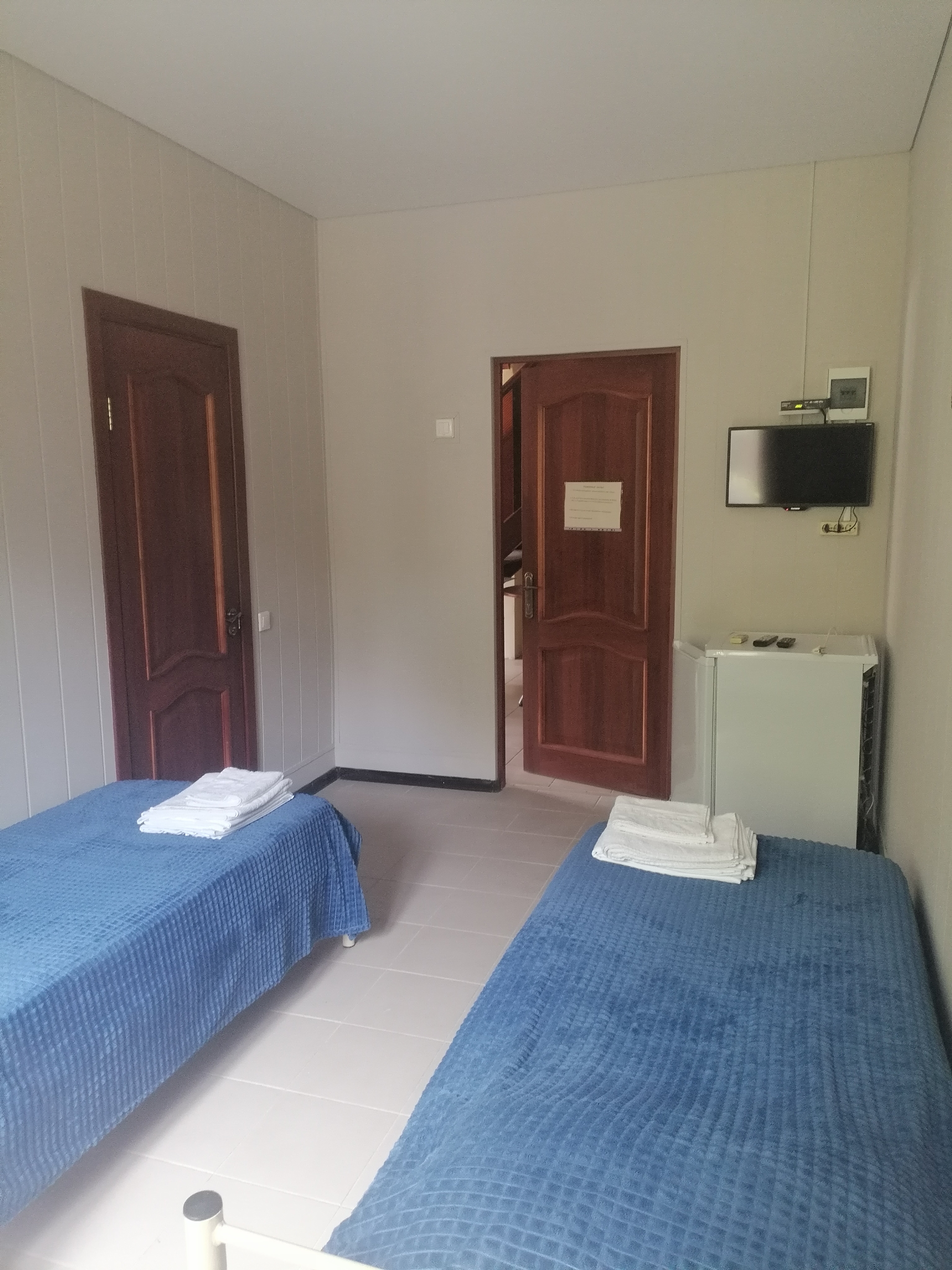 Фото Дельфин