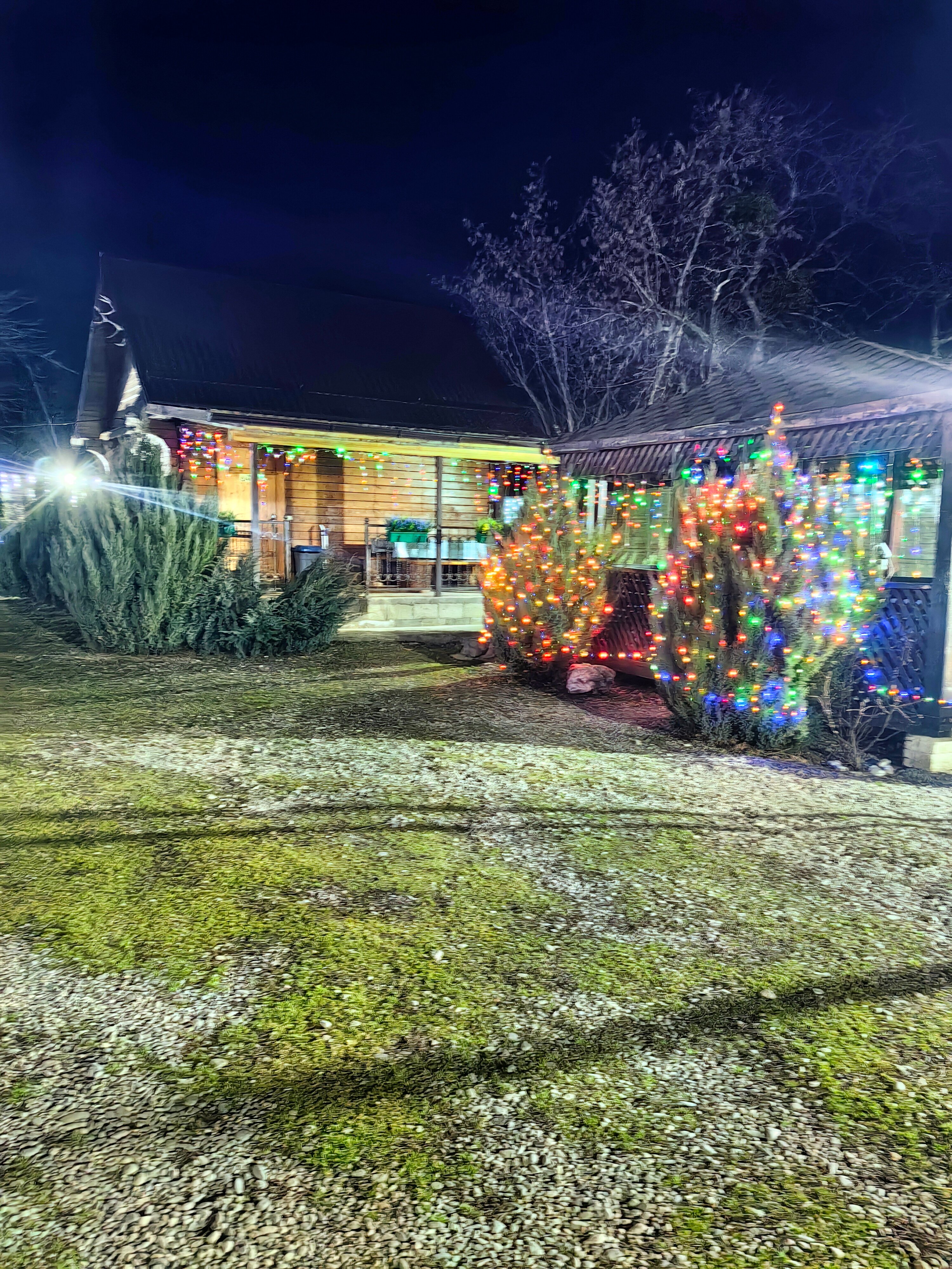 Фото Два Брата