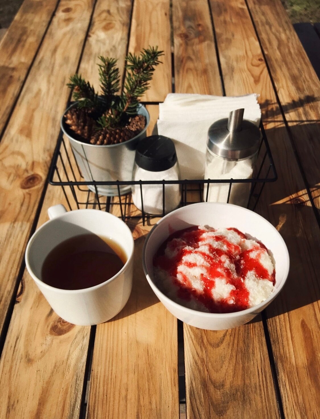 Фото Sabrina’s green house