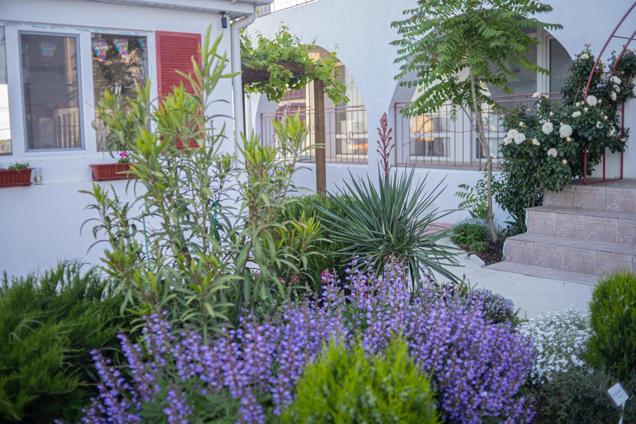 Фото Villa White