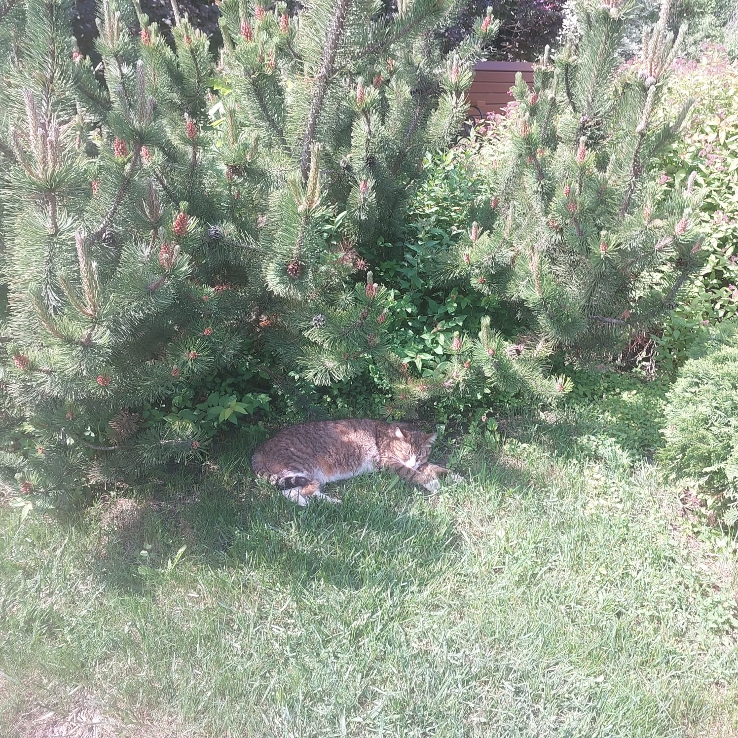 Фото Теремок