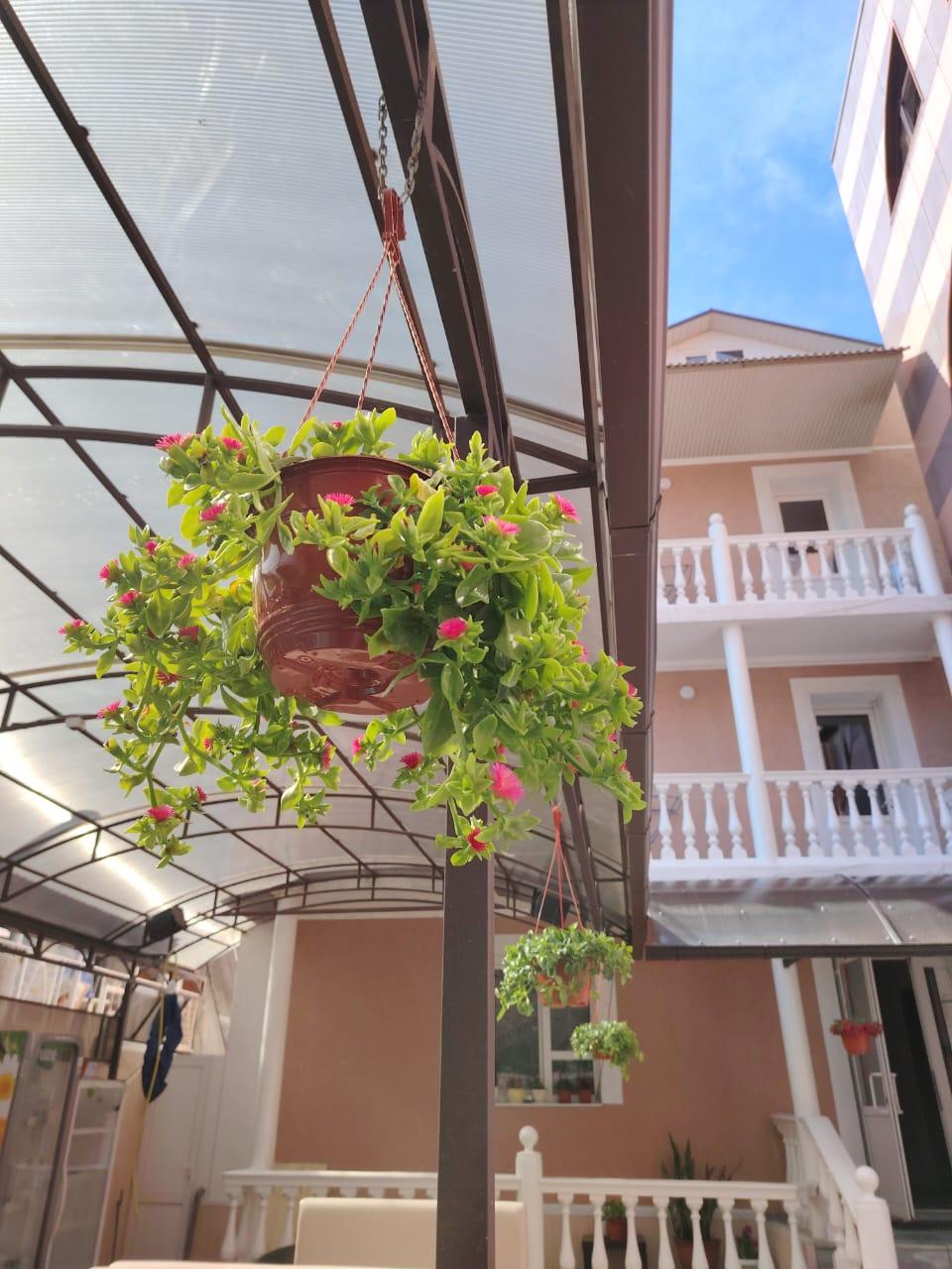 Фото Штурвал