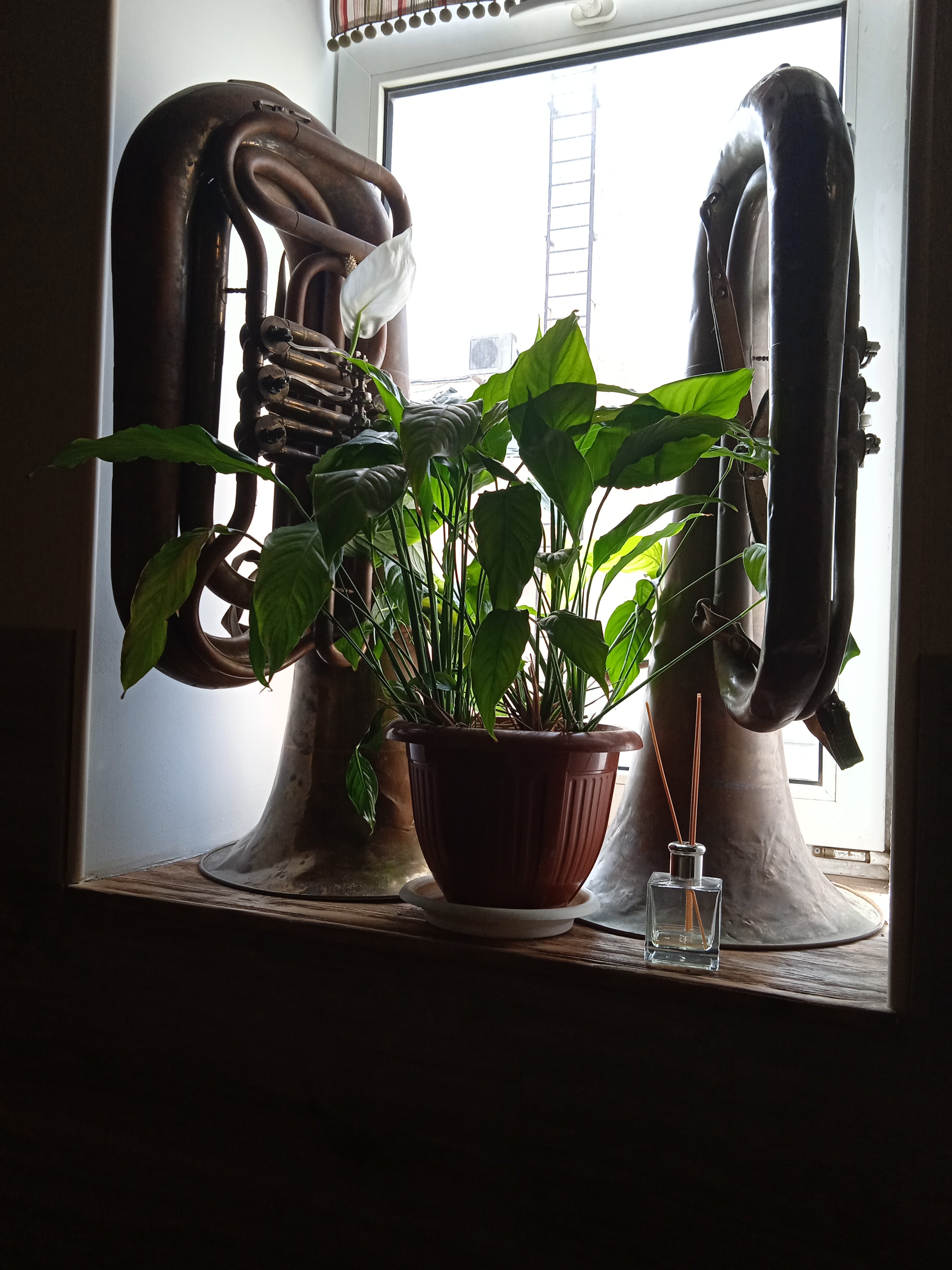 Фото Галерея