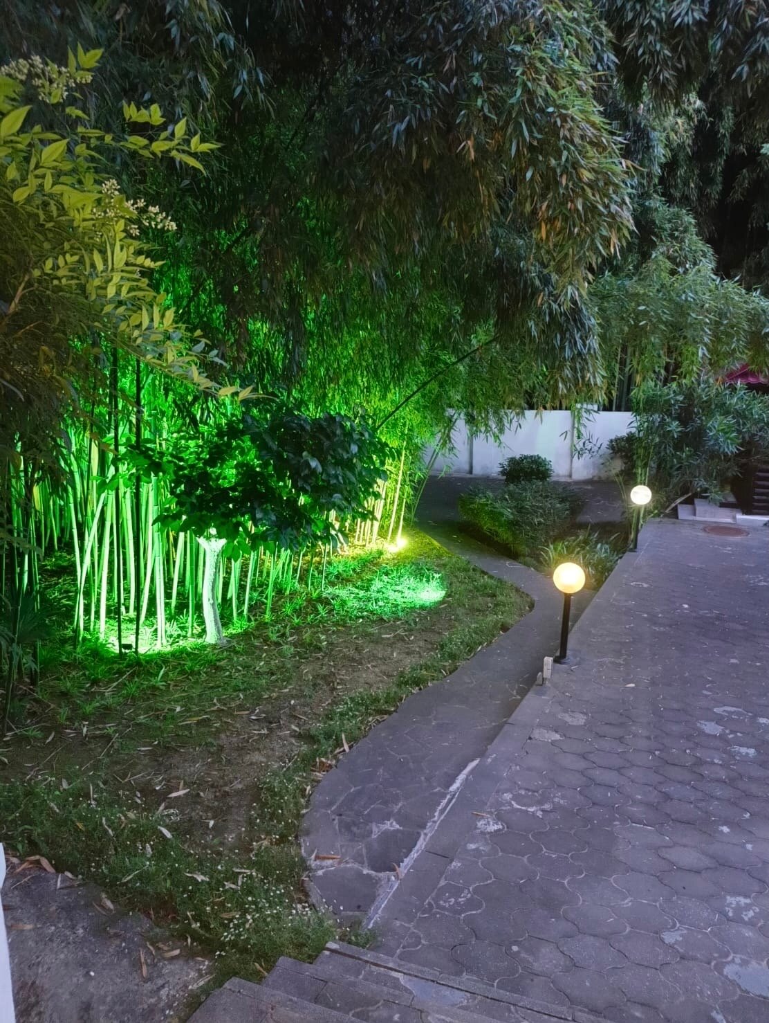 Фото Бамбуковый рай