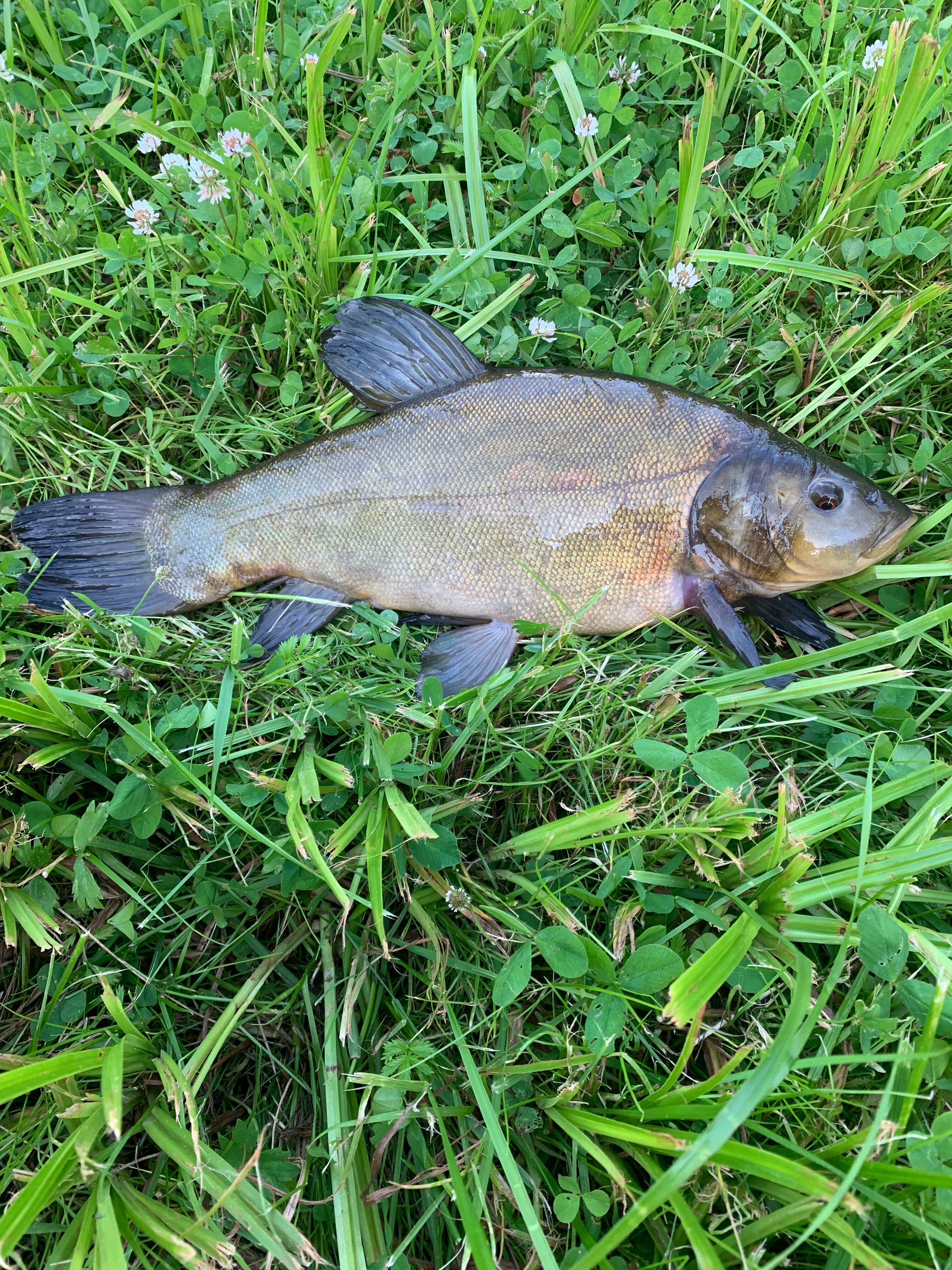 Фото Старый Мултан