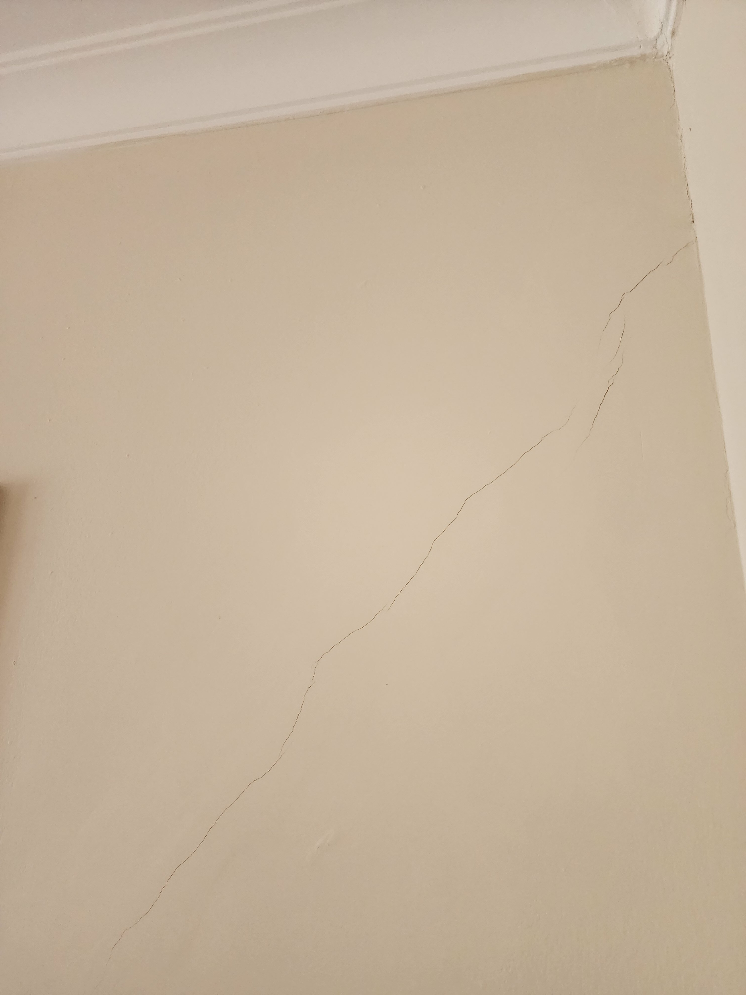 Фото Ikont Hotel