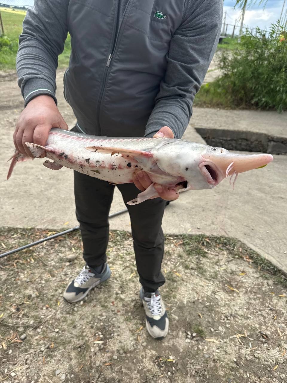 Фото Драгунская застава