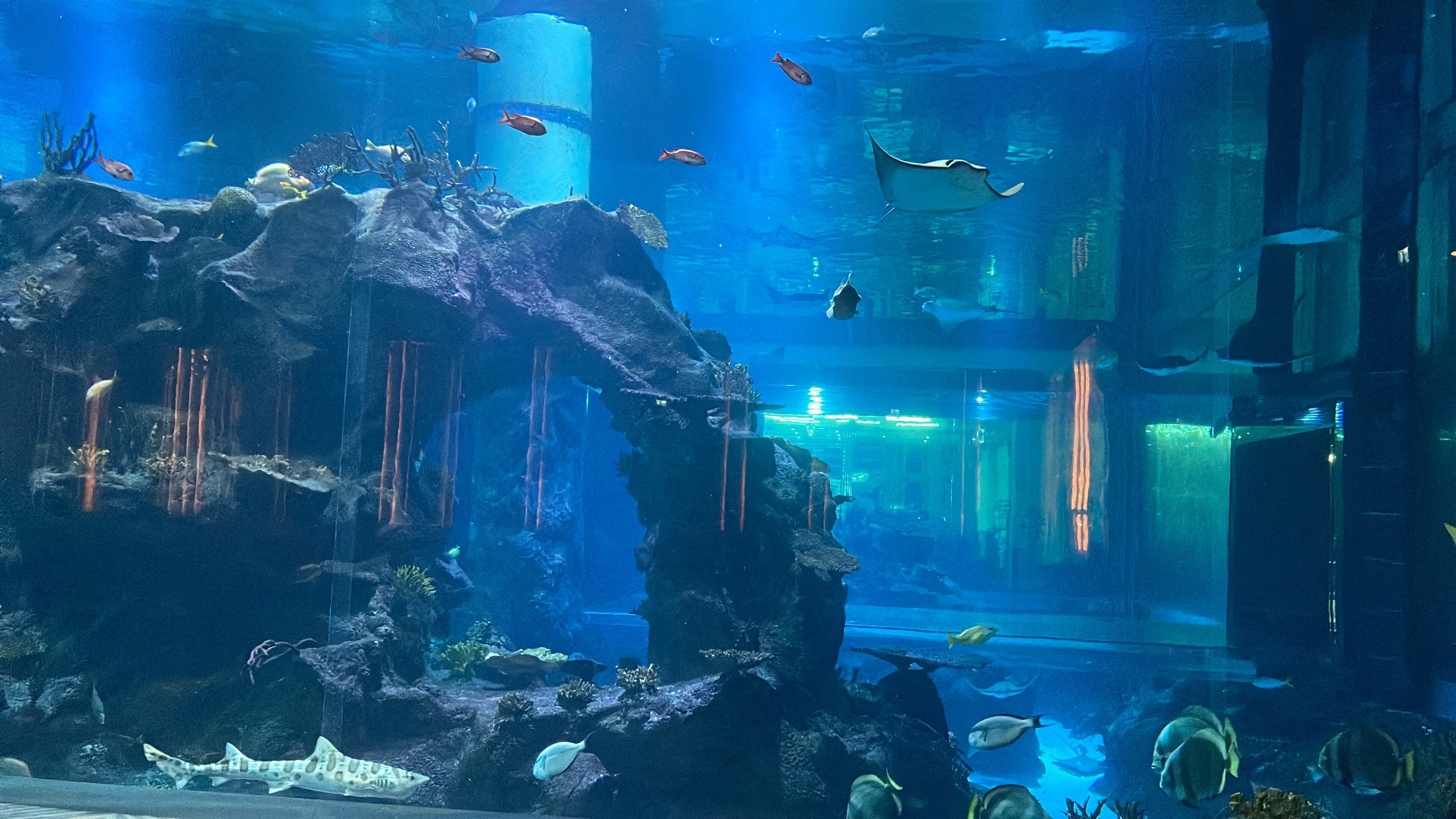 Фото Paragraph Resort & SPA Shekvetili Autograph Collection