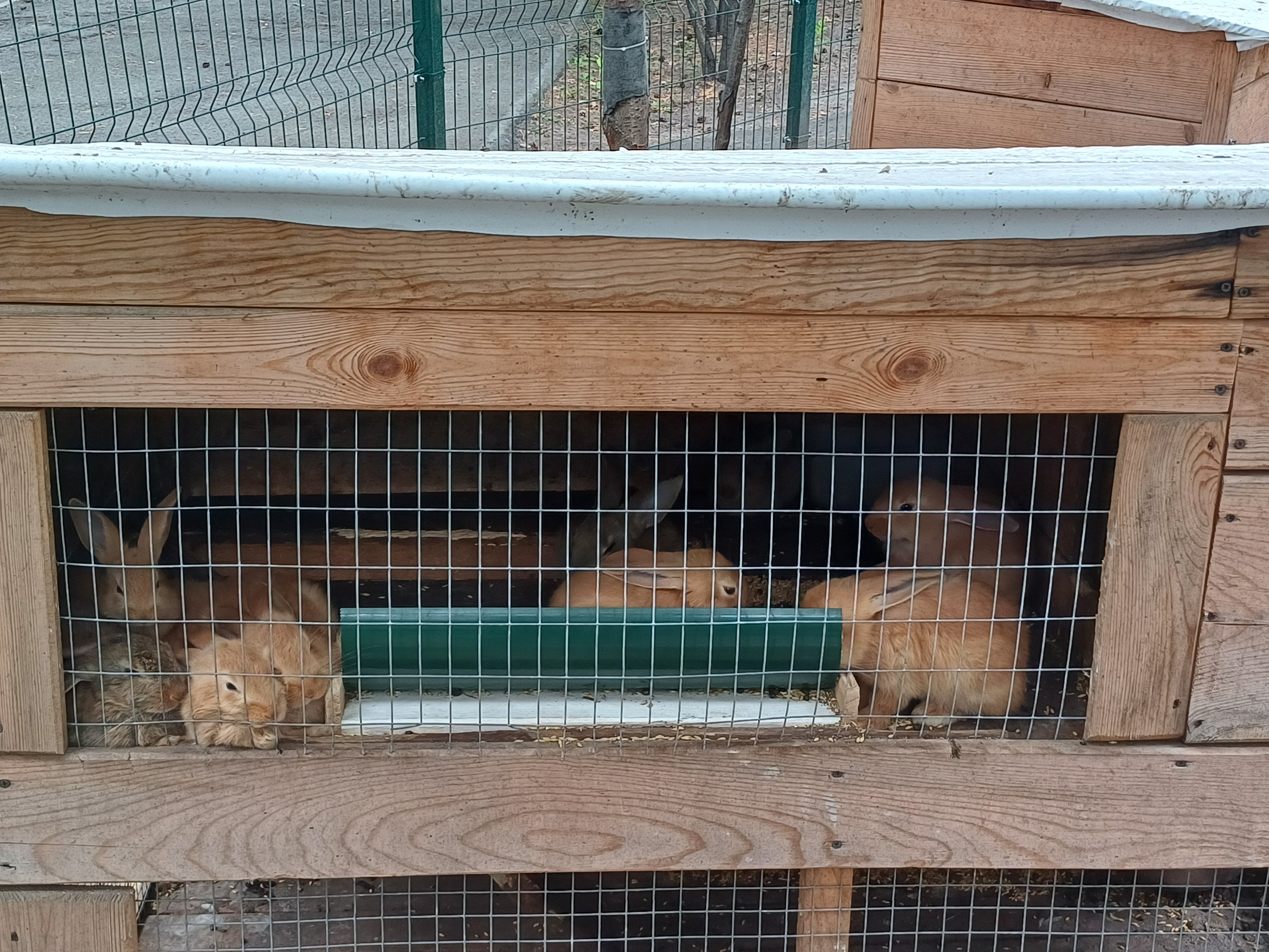 Фото Лесные дали