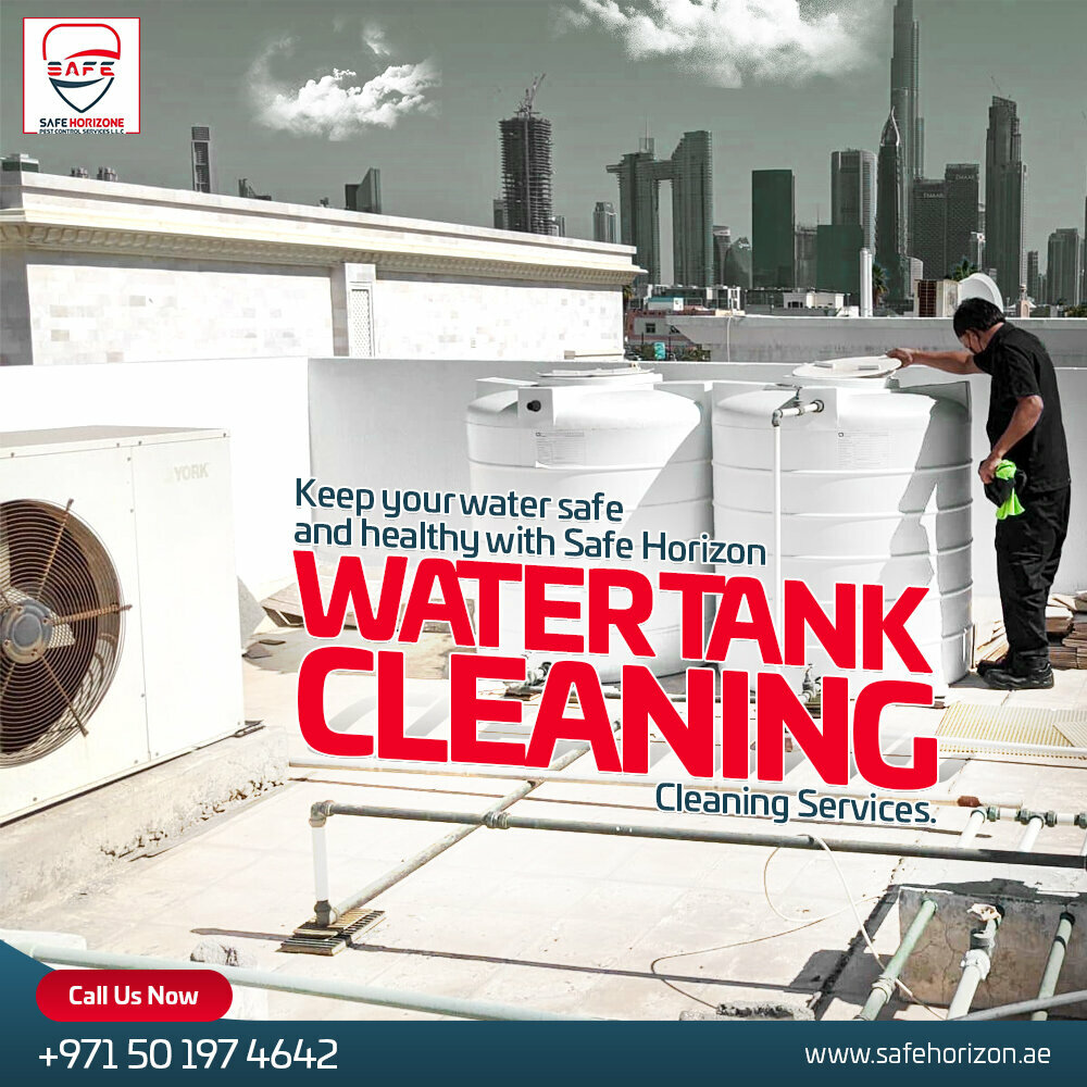 Disinfection, disinsection, deratization Safe Horizon Pest Control Services, Dubai, photo