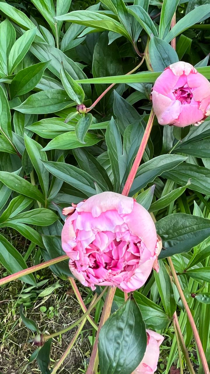 Фото Grand Adventure