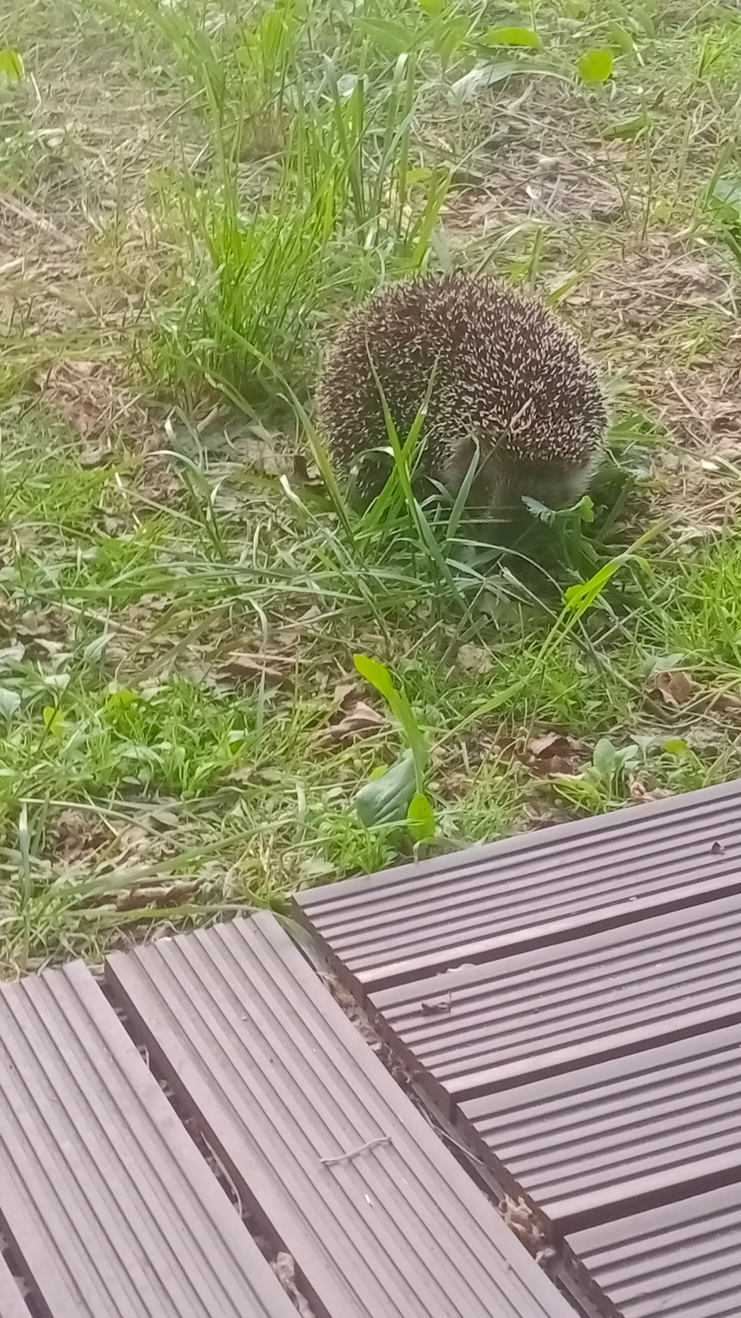 Фото Волшебница