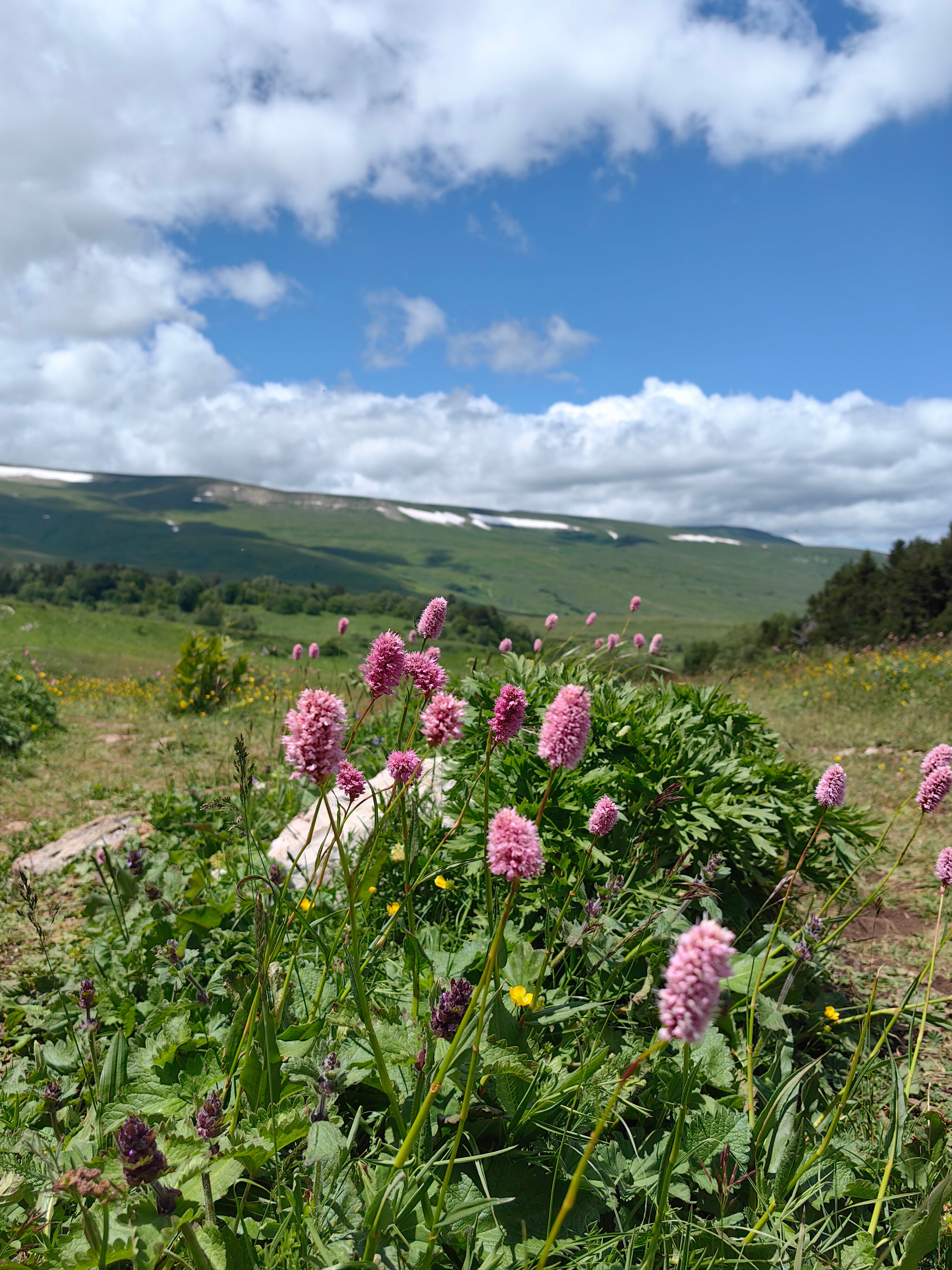 Фото Горные просторы