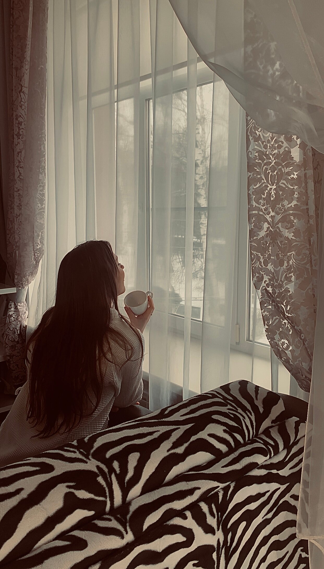 Фото Яблоки