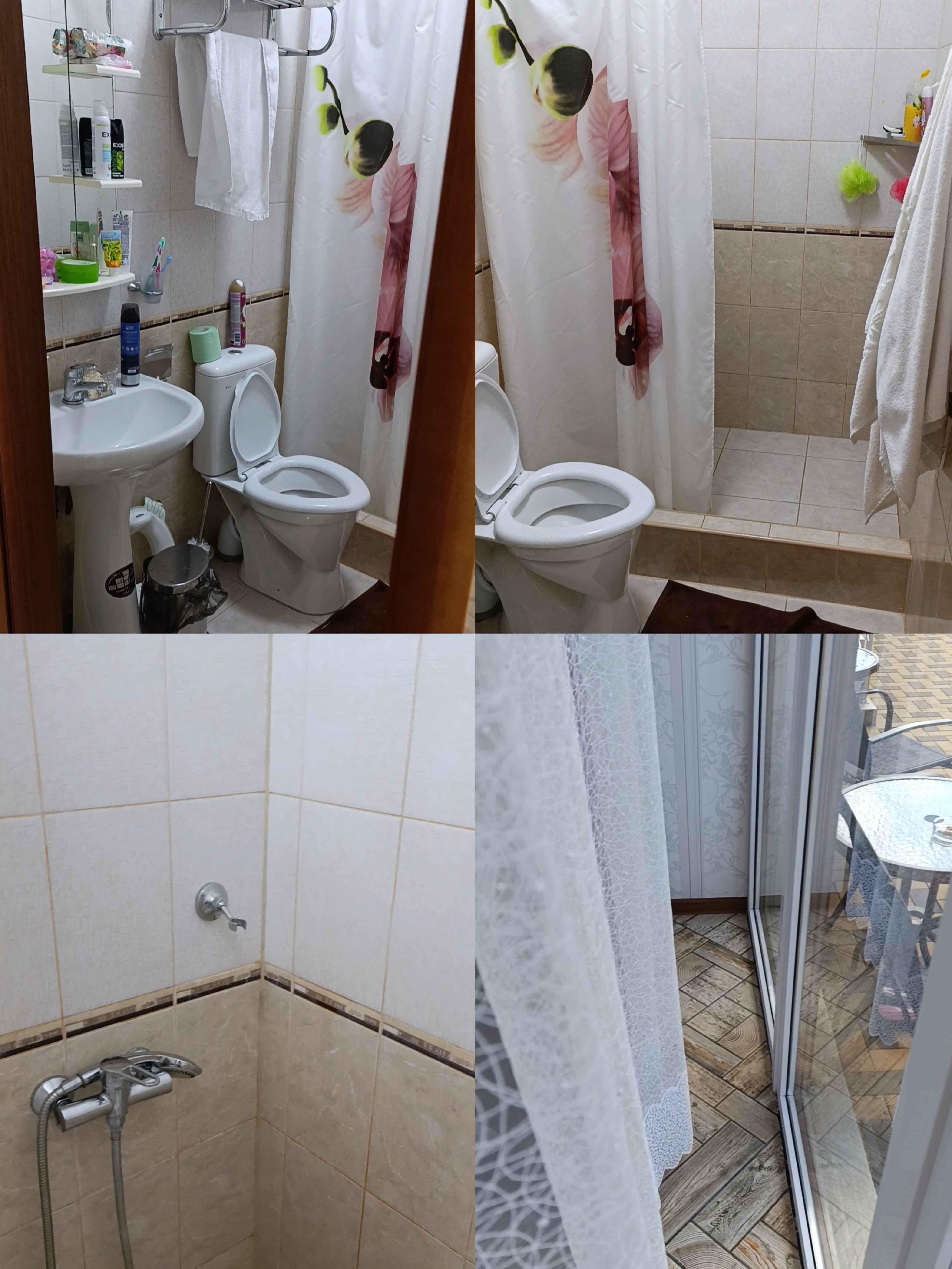 Фото Ленивый тюлень