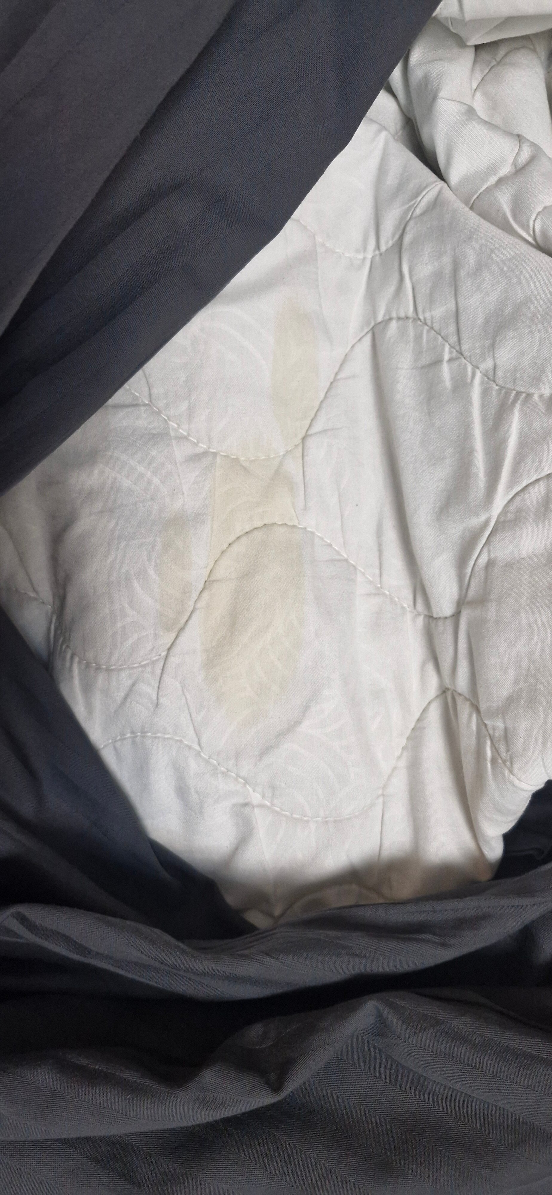 Фото Ава Салют SyncotelHome