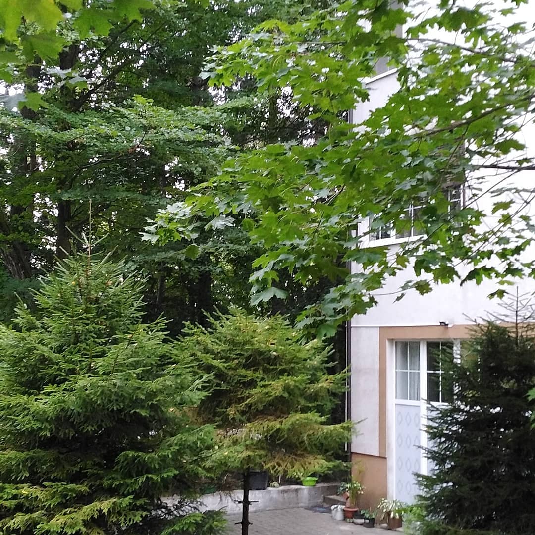 Фото Мечты сбываются