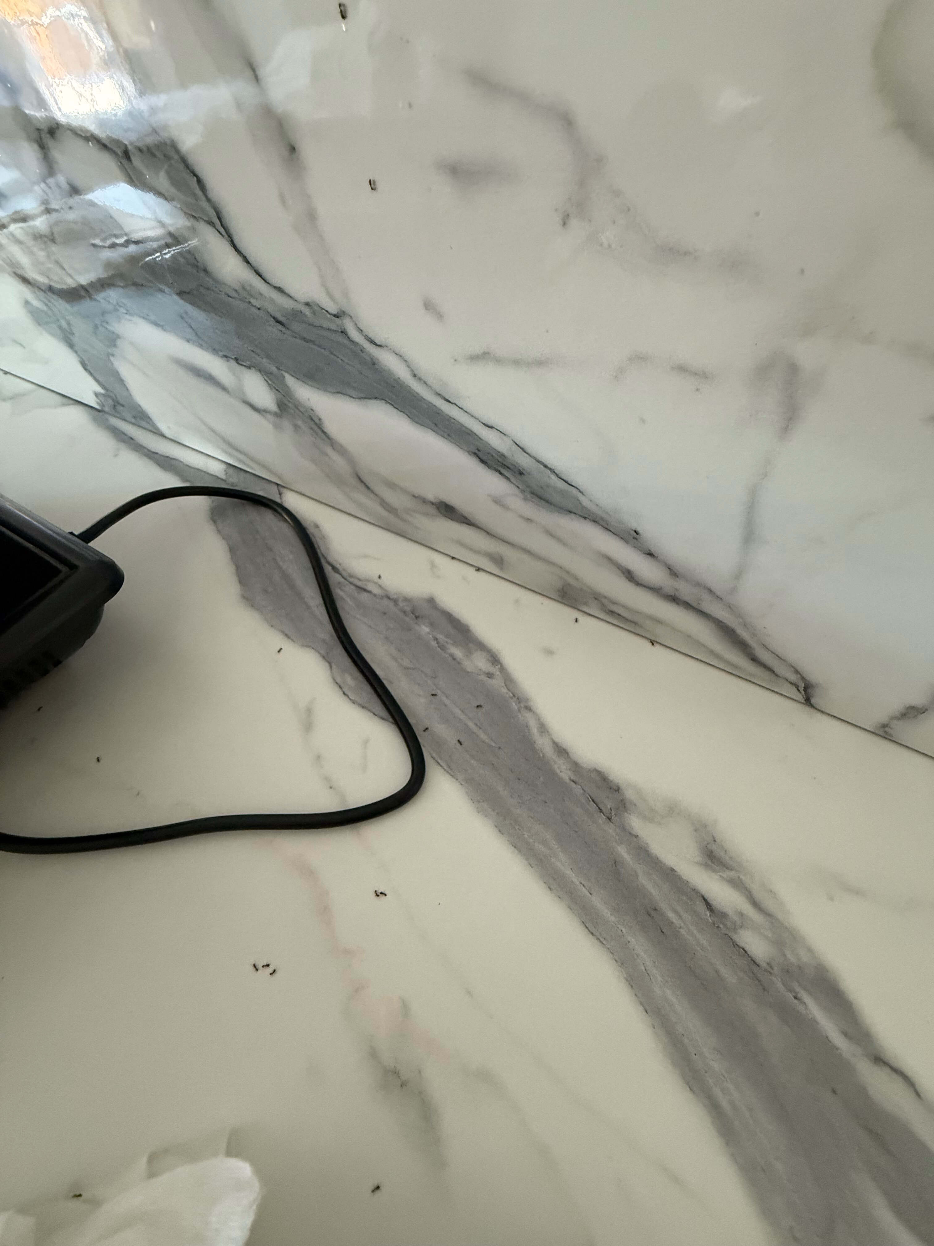 Фото Морской Бриз