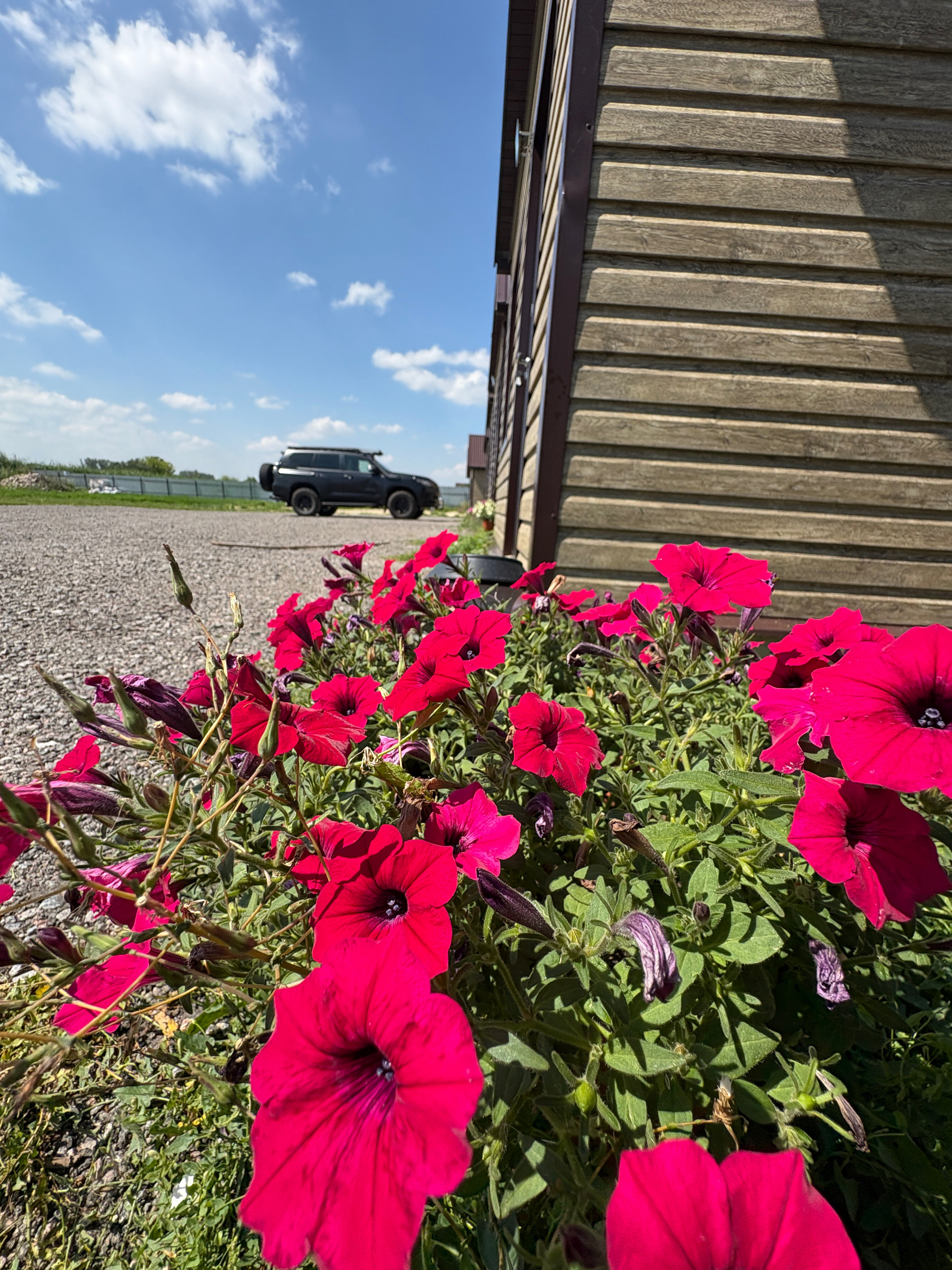 Фото Домики у Пруда